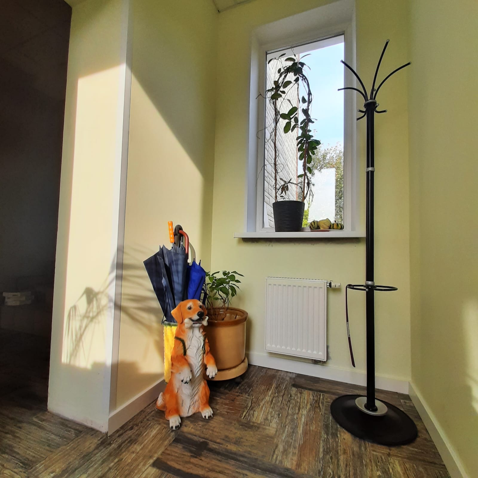 Фото Сова в Шереметьево