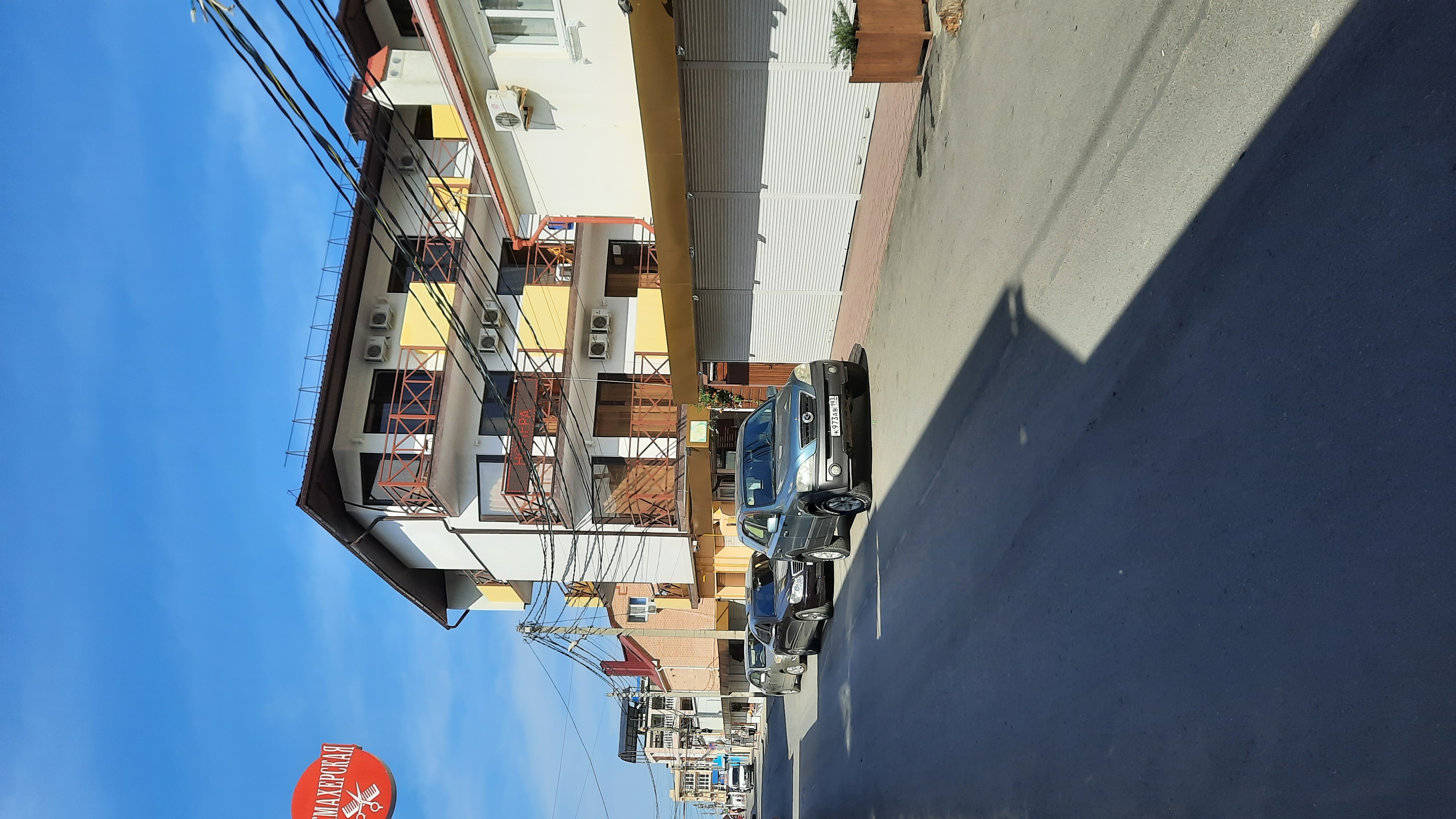 Фото Магнолия 2