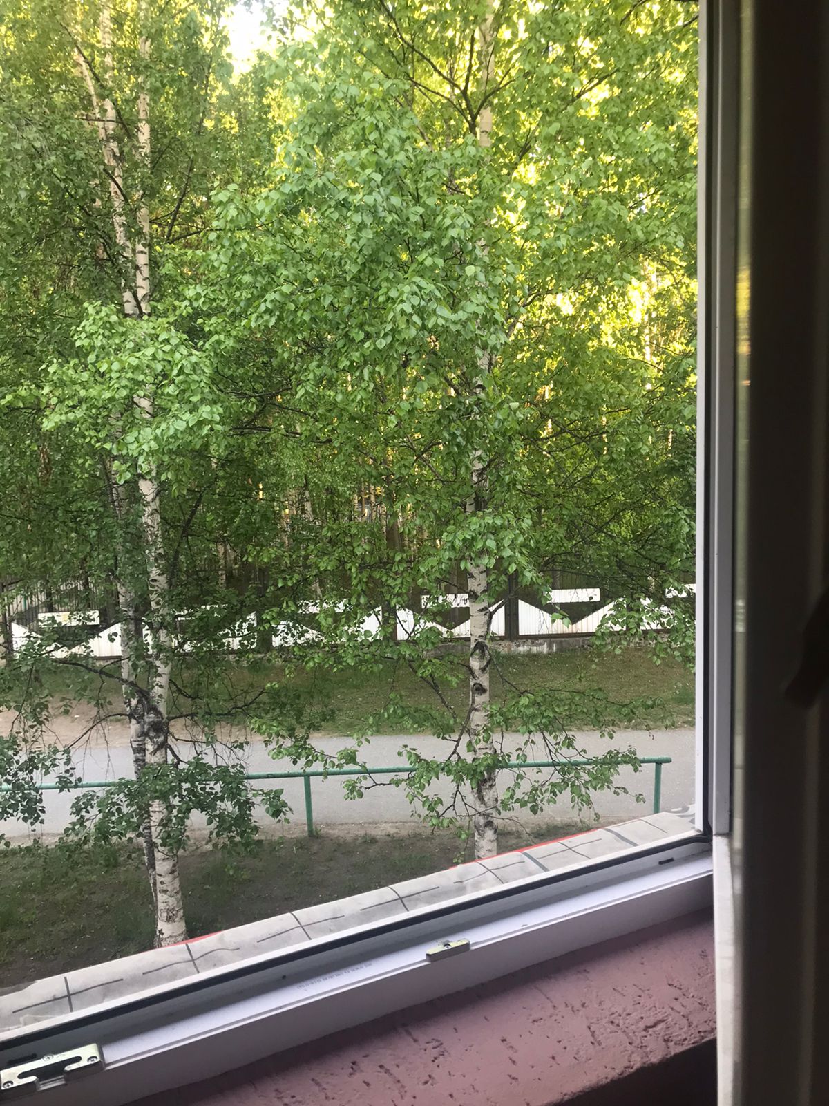 Фото Звёздный