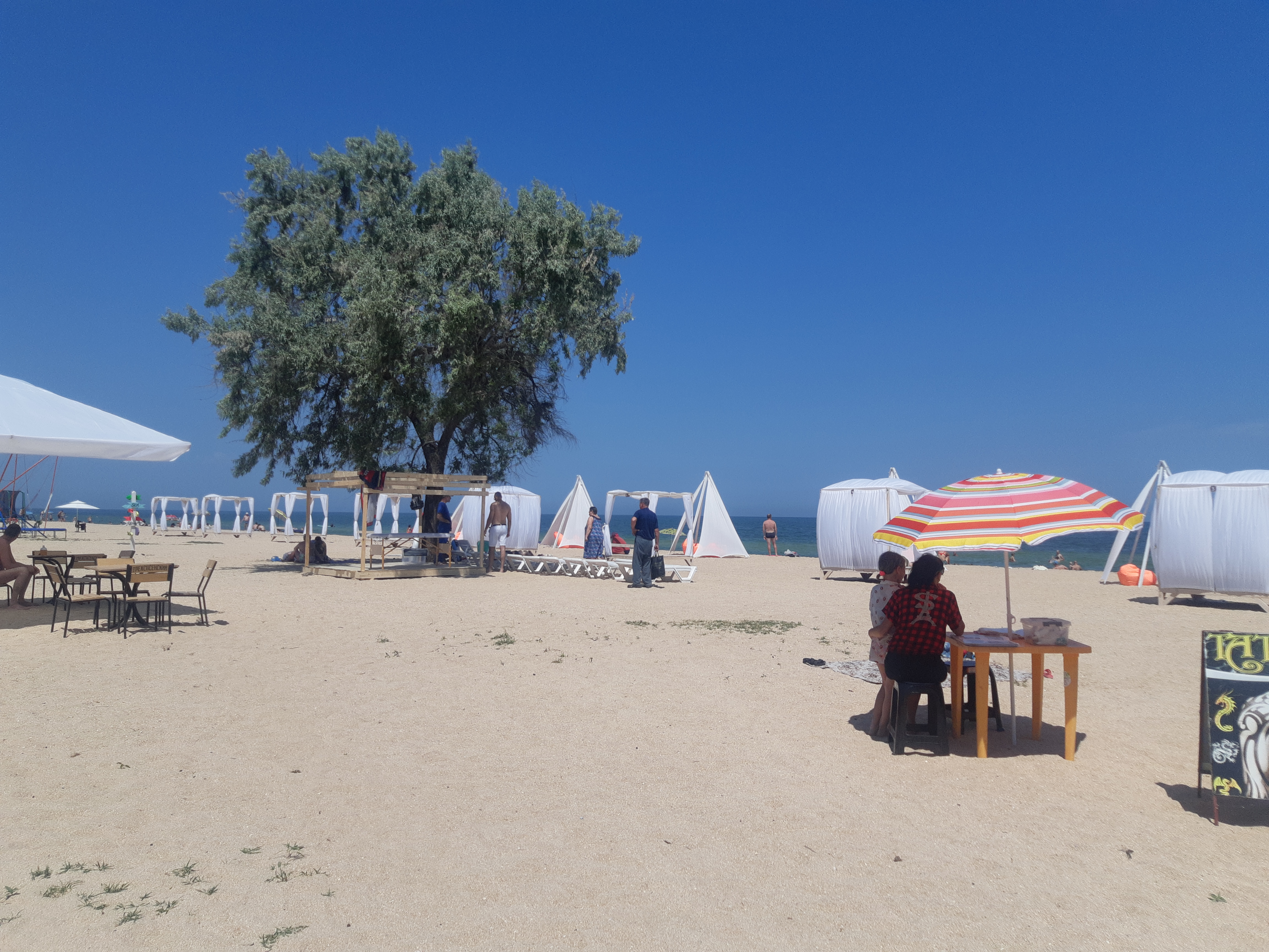 Фото Дельфин