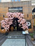 Trattoria540 (ул. Горная Карусель, 6, село Эстосадок), ресторан в Сочи