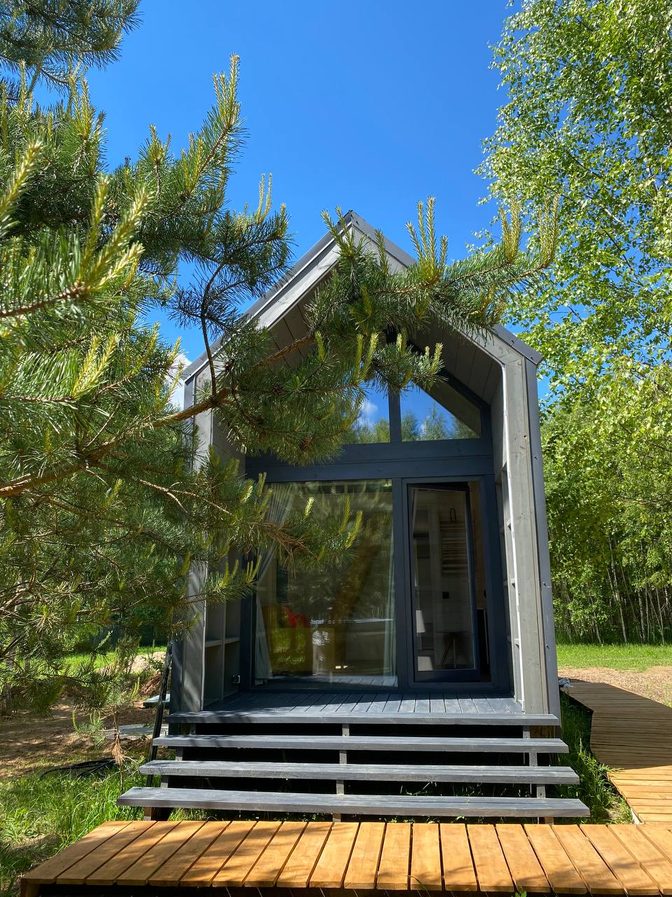 Фото Дыши лесом