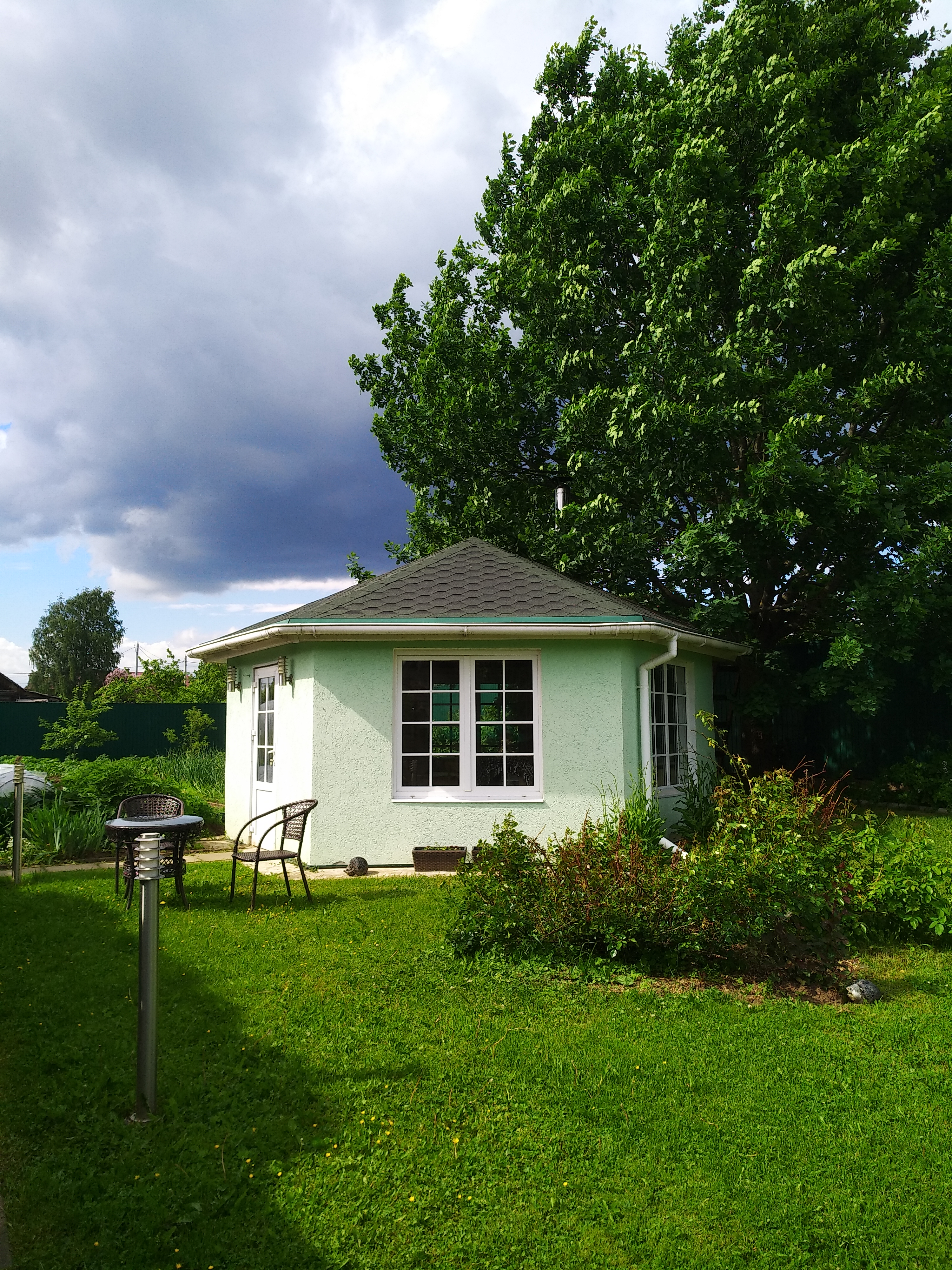 Фото Кот и кошка