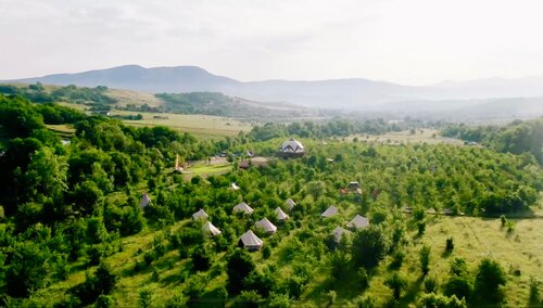 Арт-Ковчег  фото 1