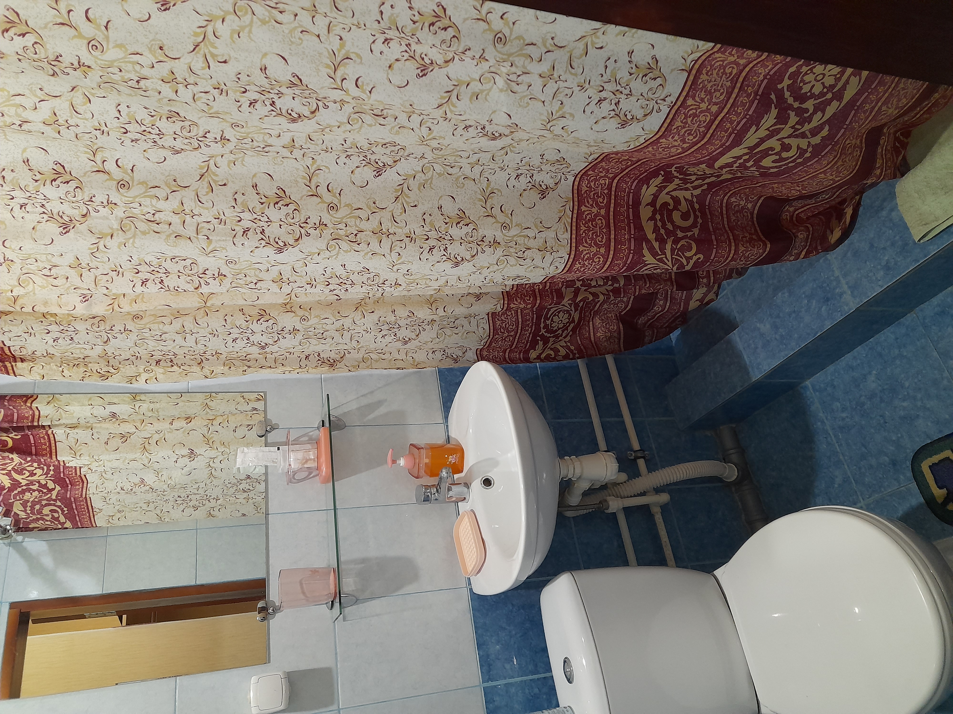 Фото Березка