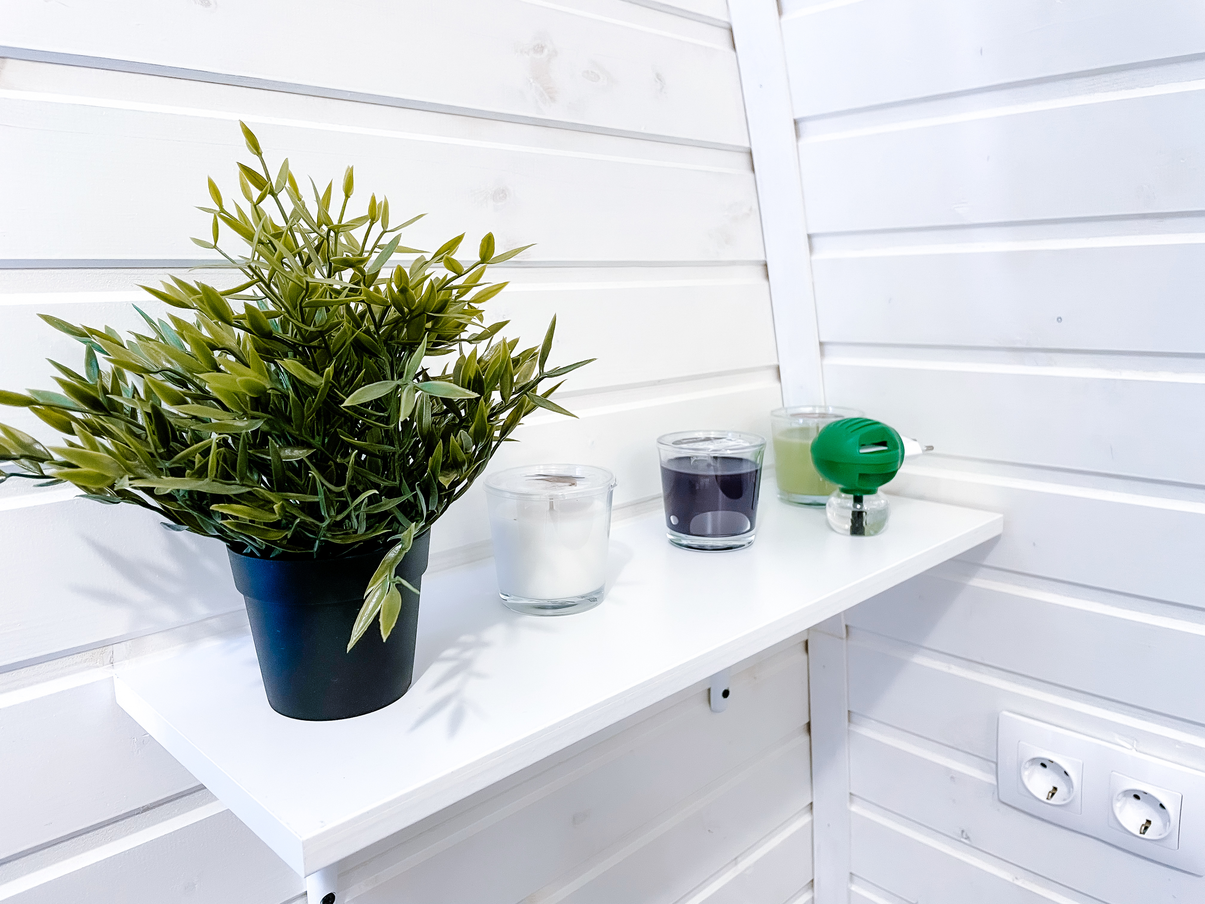 Фото Велбот