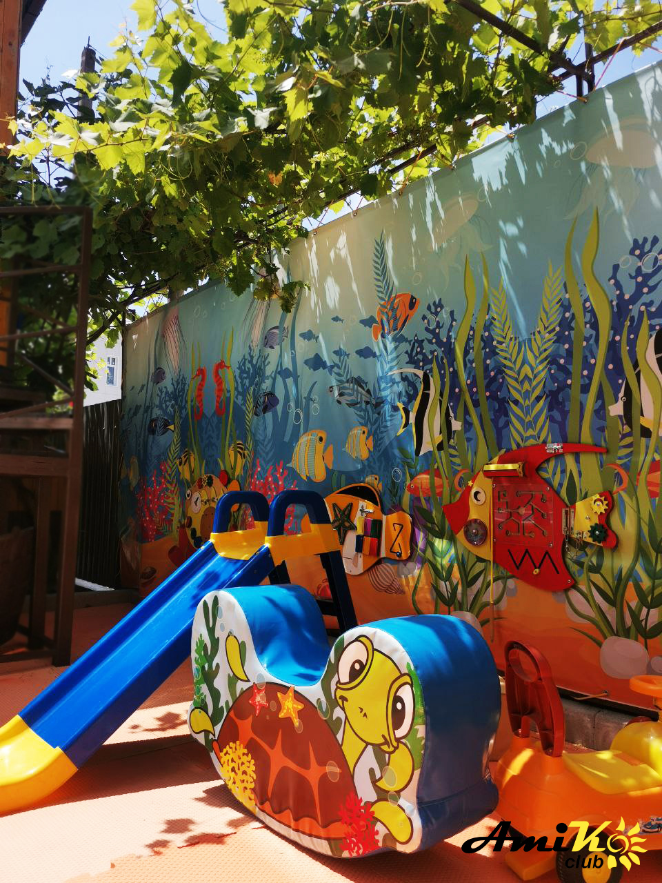 Фото Амико Club