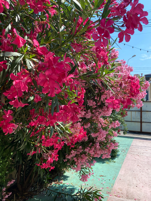 Фото Скайфом