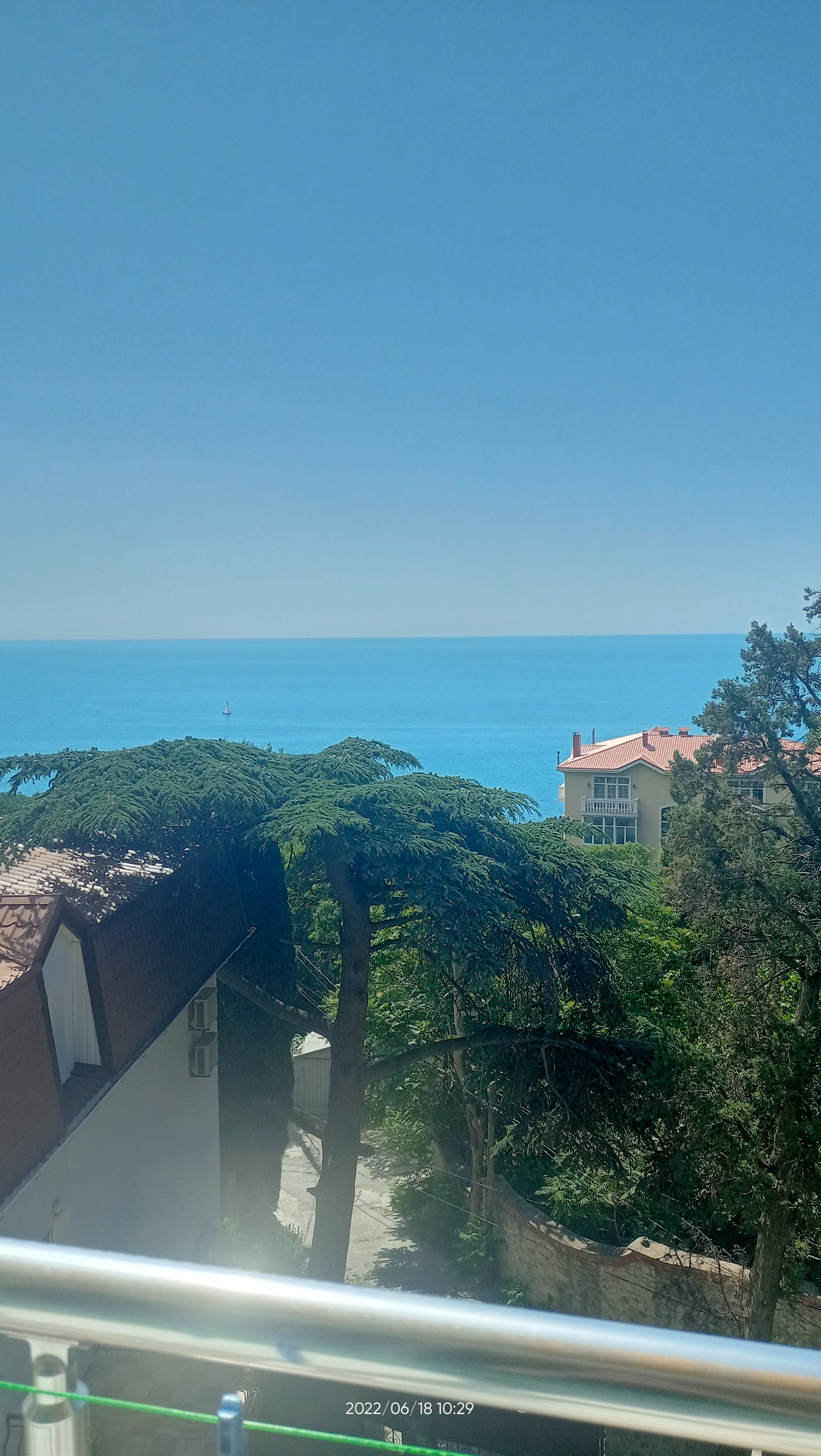 Фото Кедр-Запад