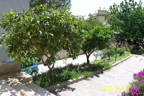 Гостиница B&b Villa Peppe