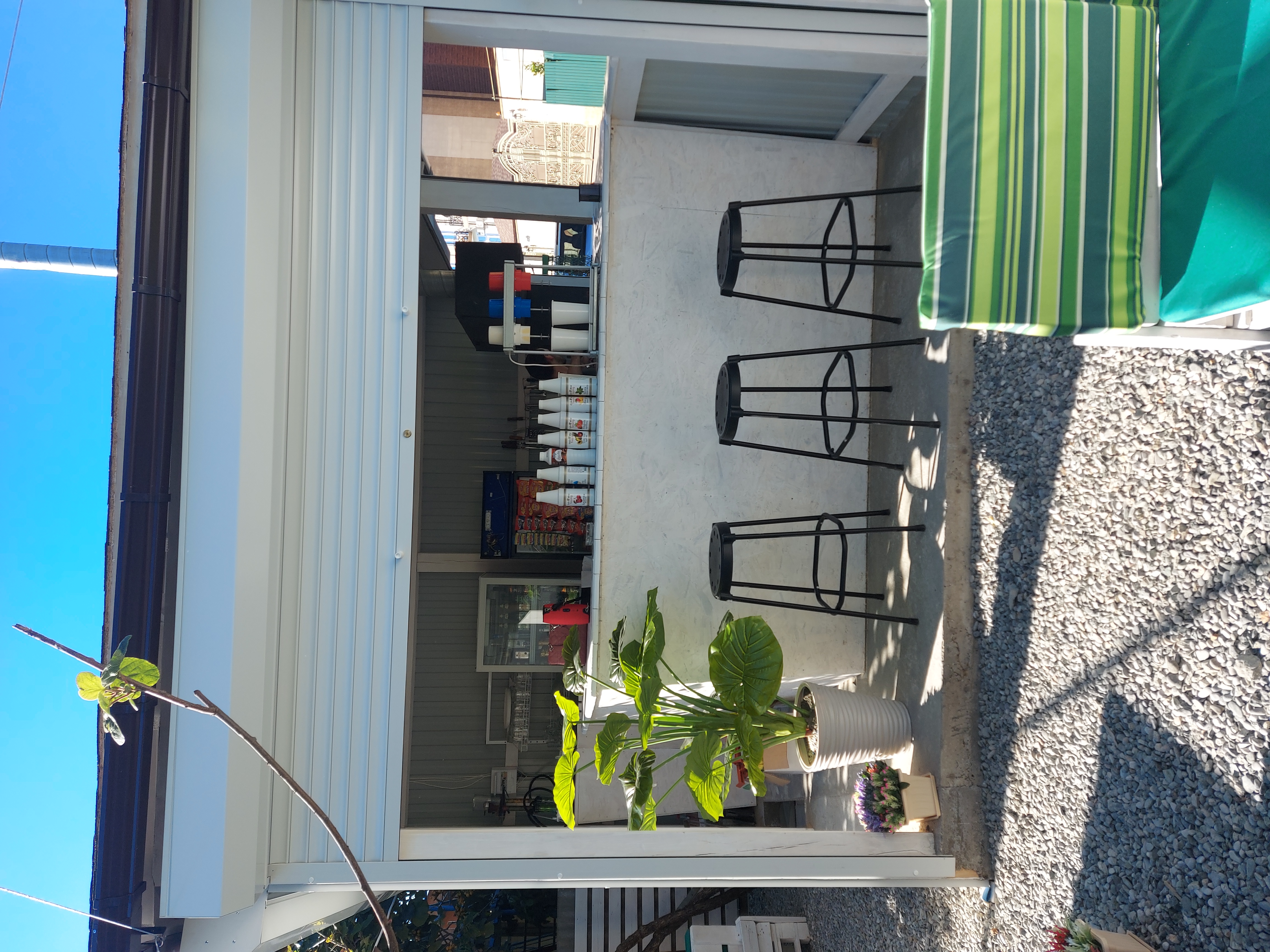 Фото Орхидея