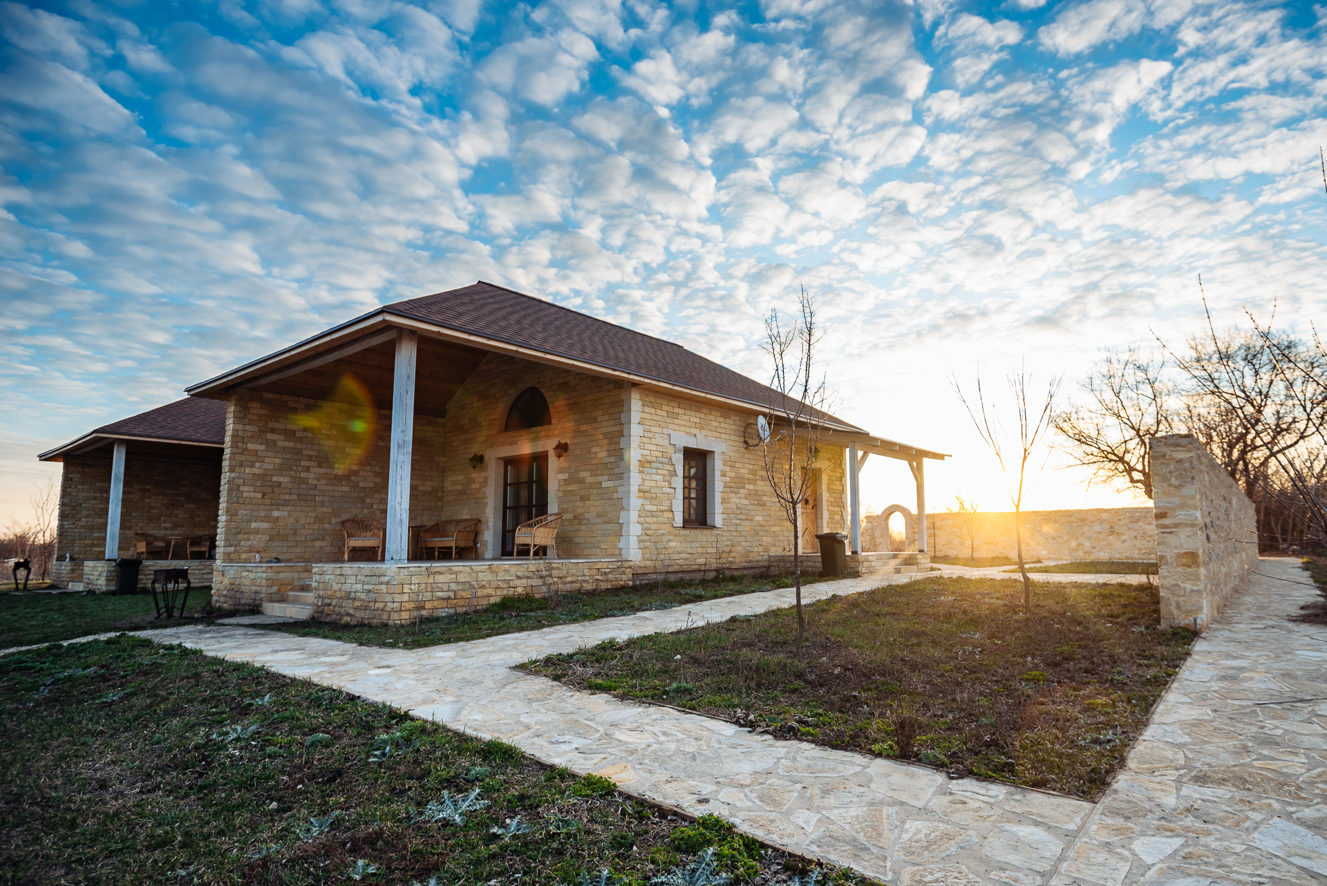 Фото Мальвы