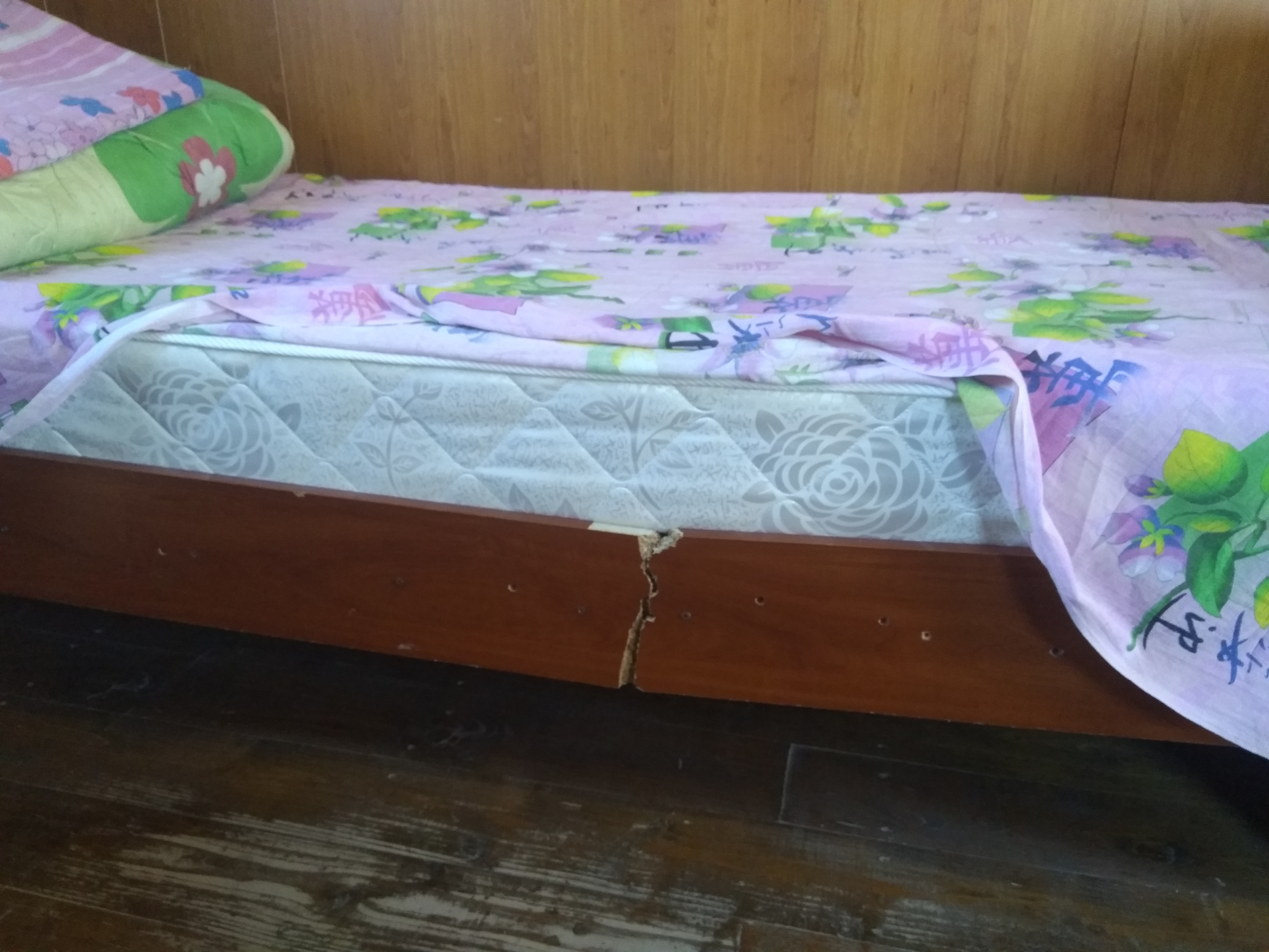 Фото Олигри Fish