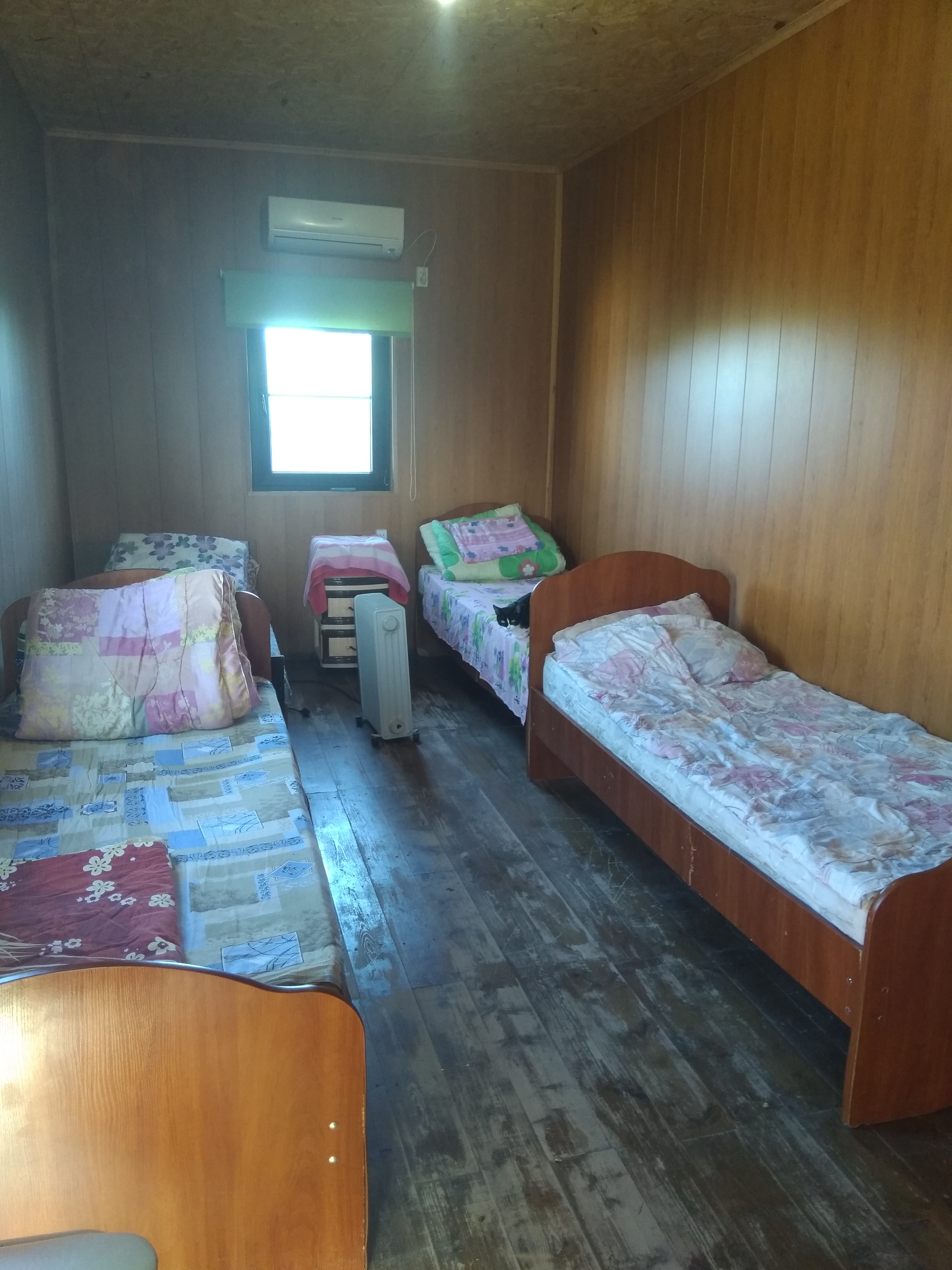 Фото Олигри Fish