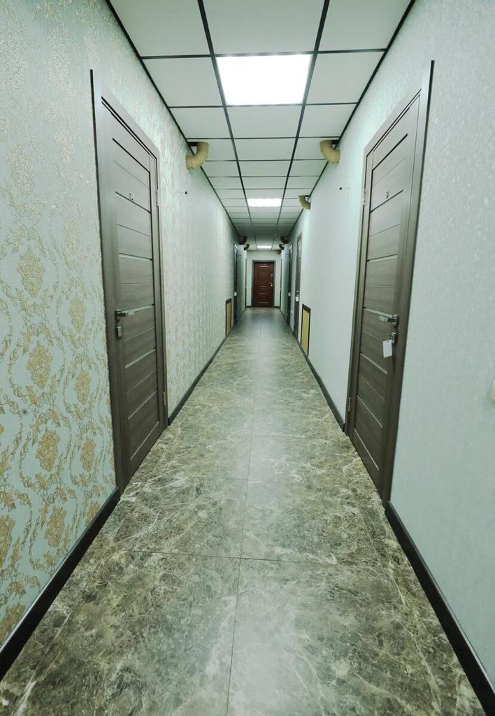 Фото Сосновая сказка