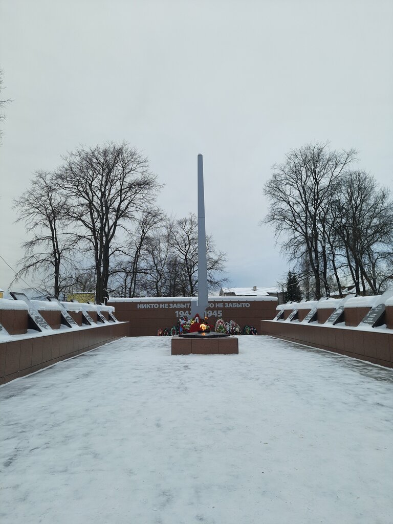 Памятник, мемориал Вечный огонь, Боровичи, фото