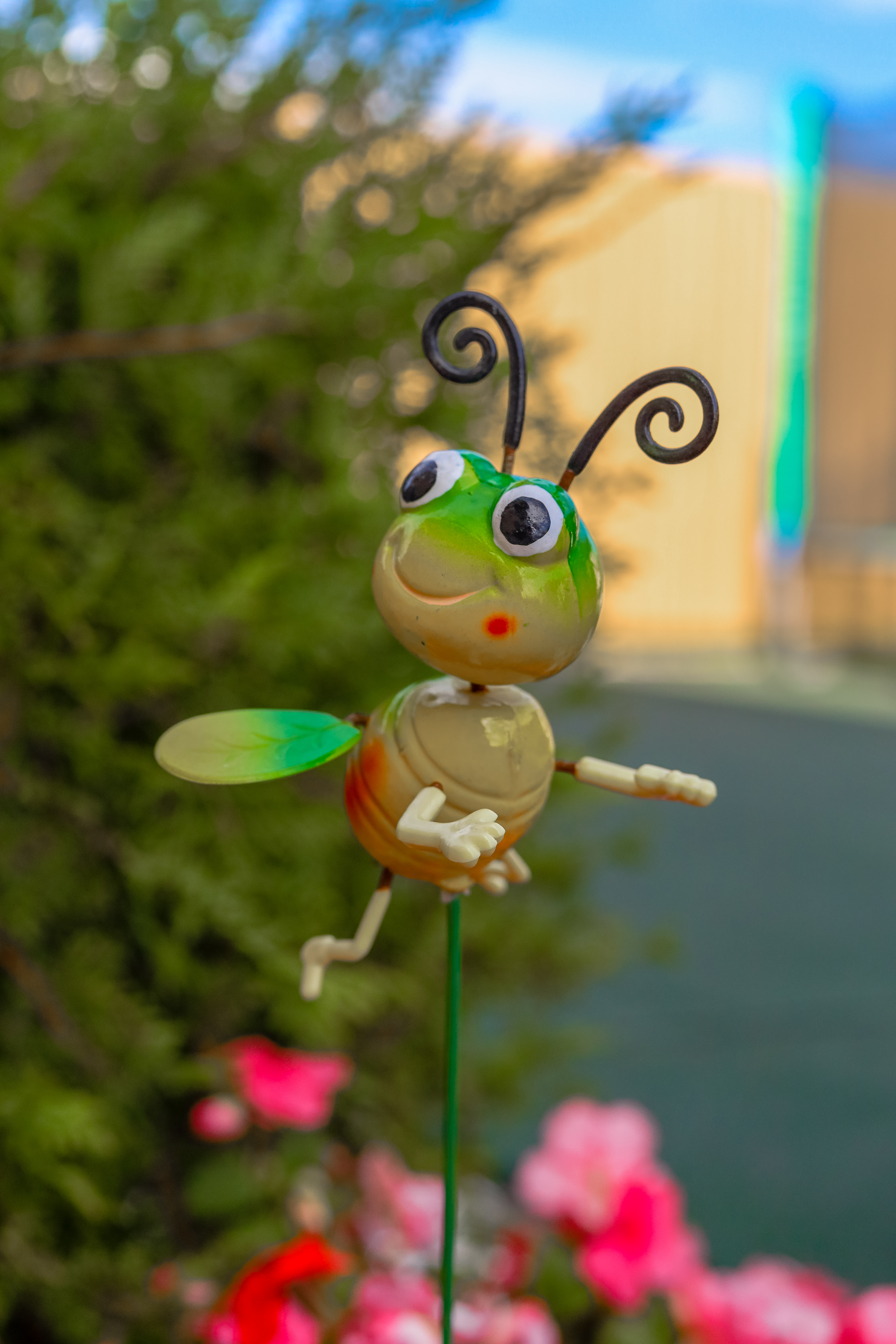 Фото Маленькая страна