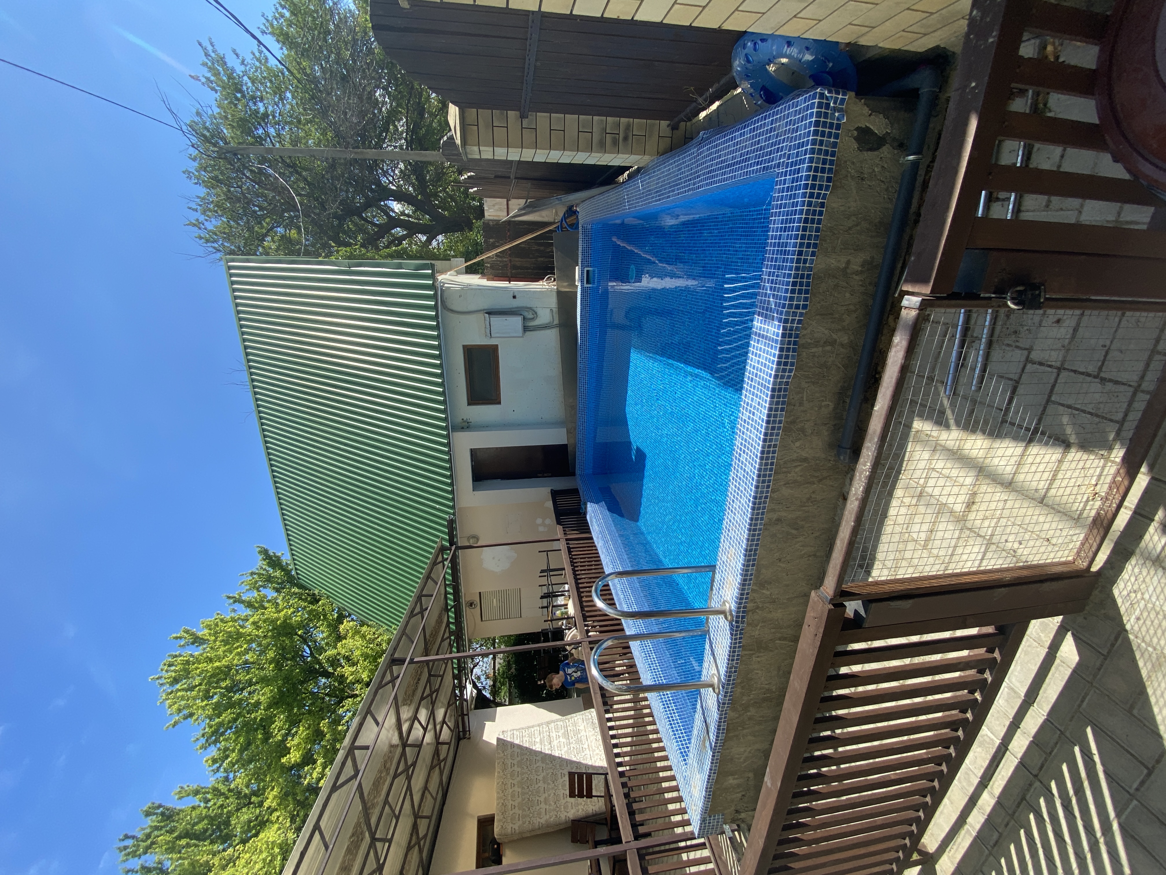 Фото Ромашка