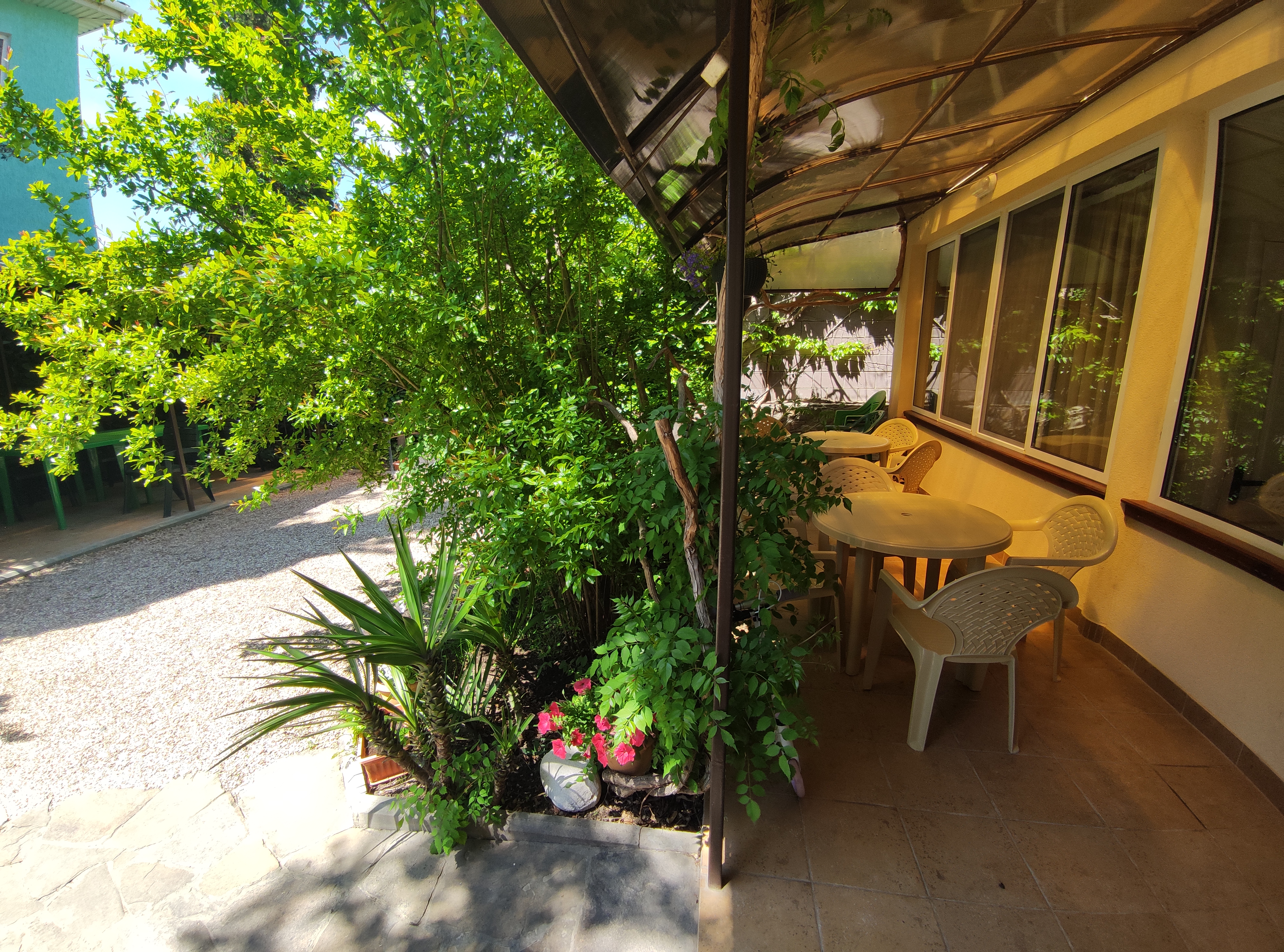 Фото Баттерфляй