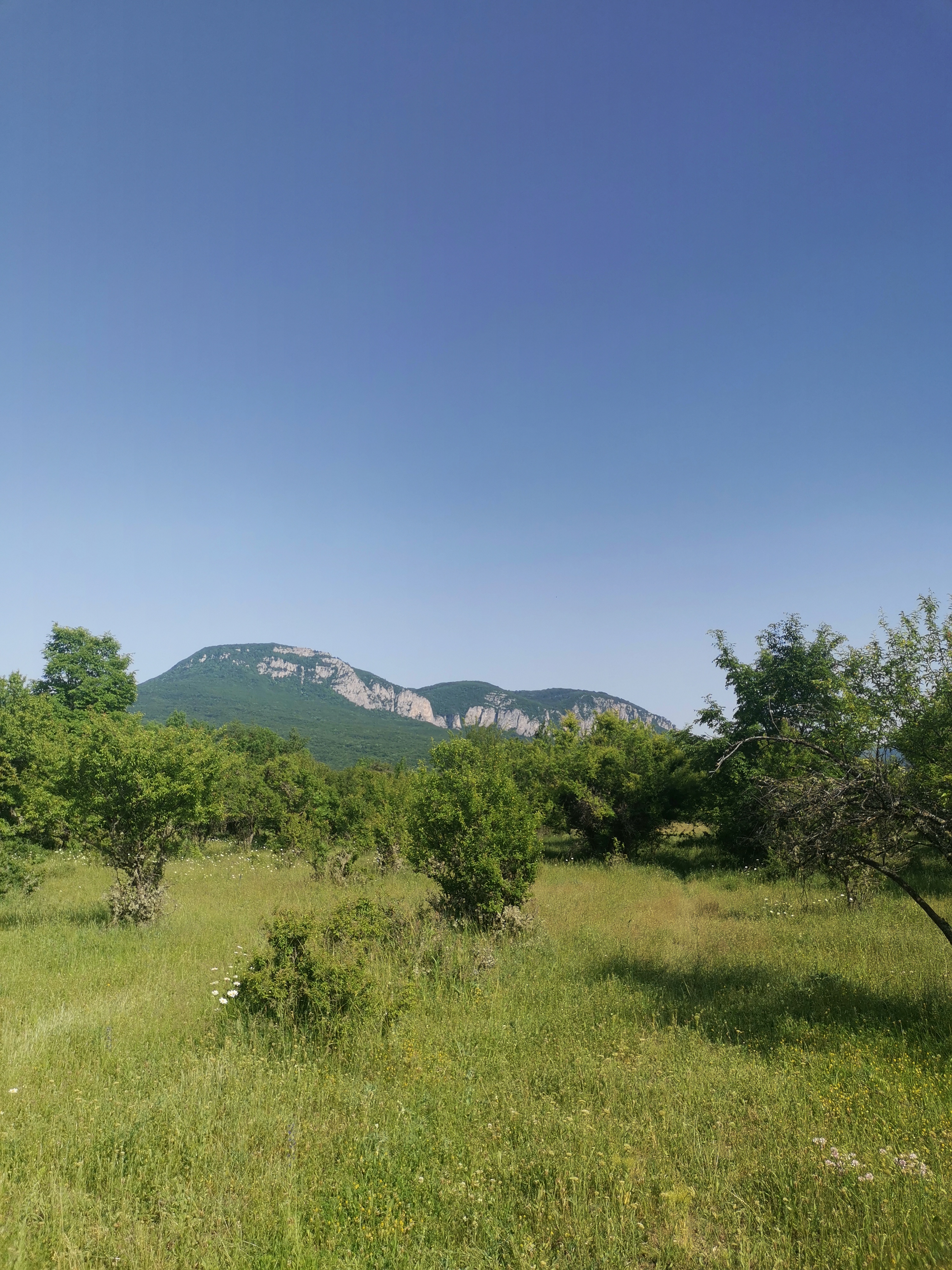 Фото Орлиный залет