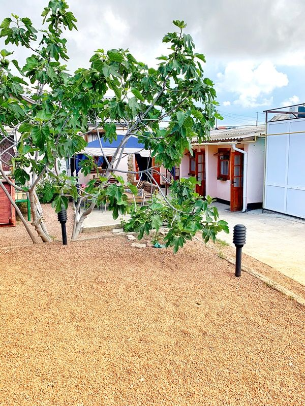 Фото У Дианы