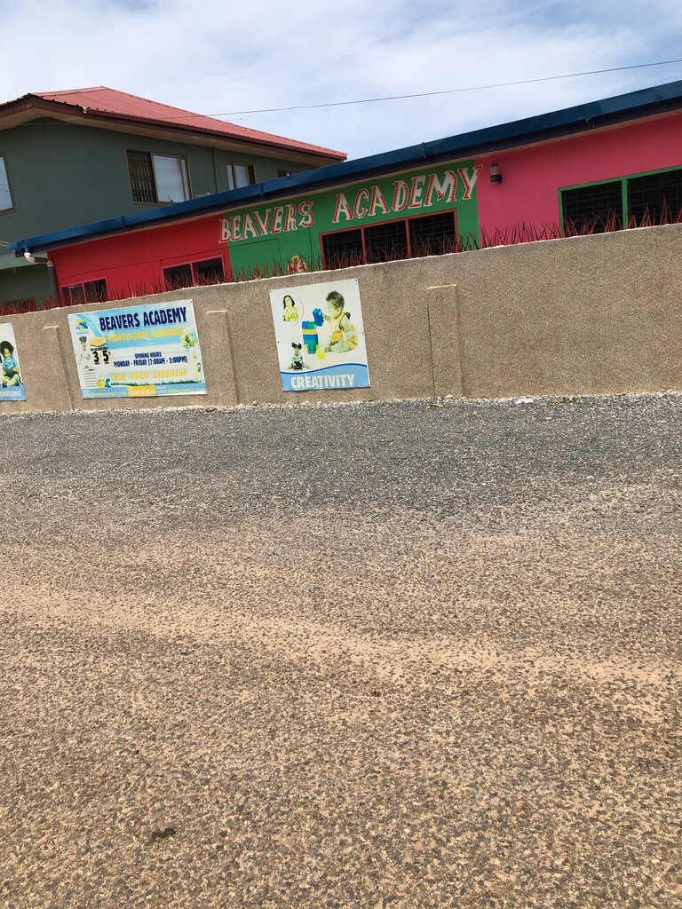 School Beavers Academy, Earth, photo