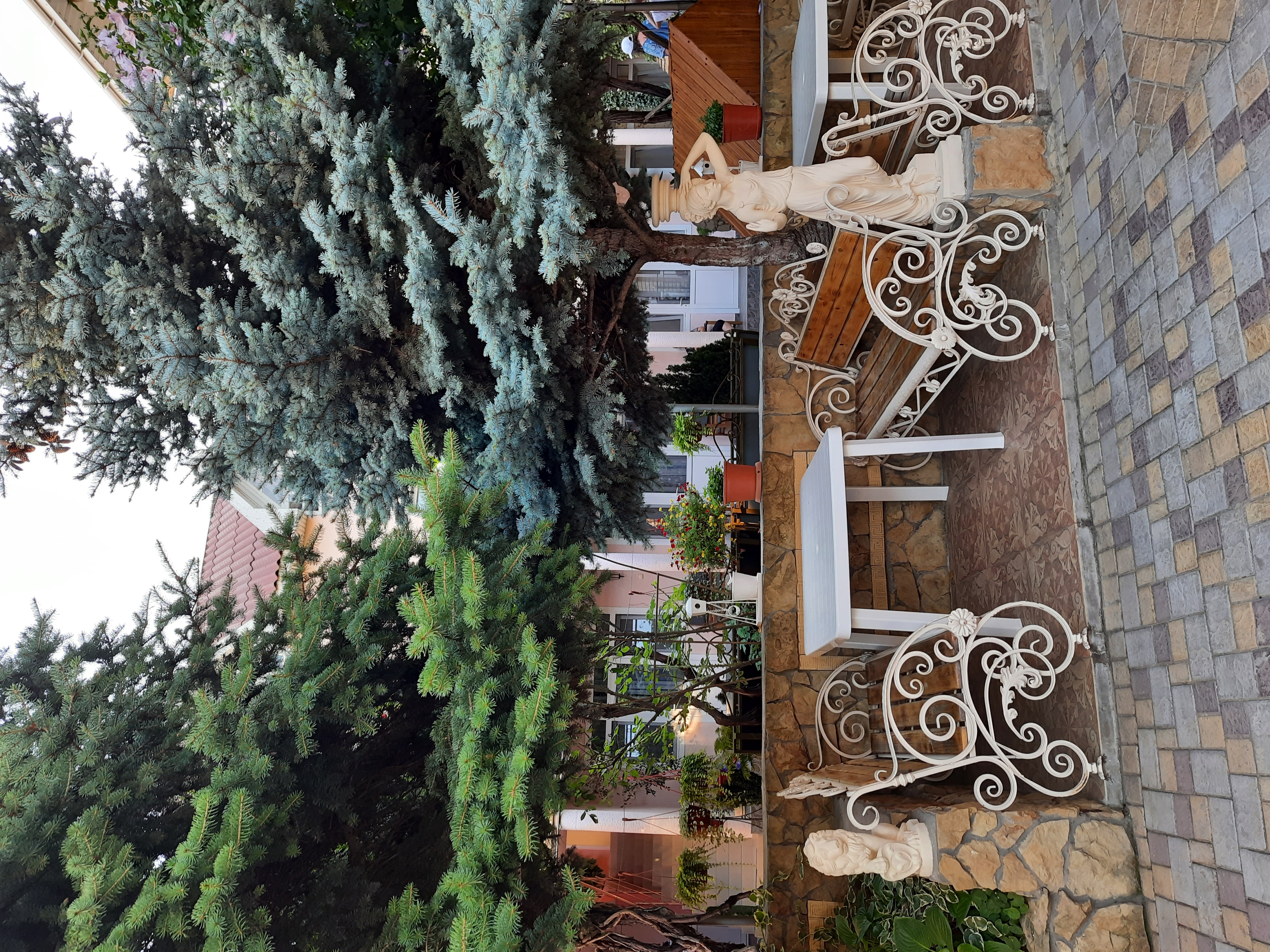 Фото Костас