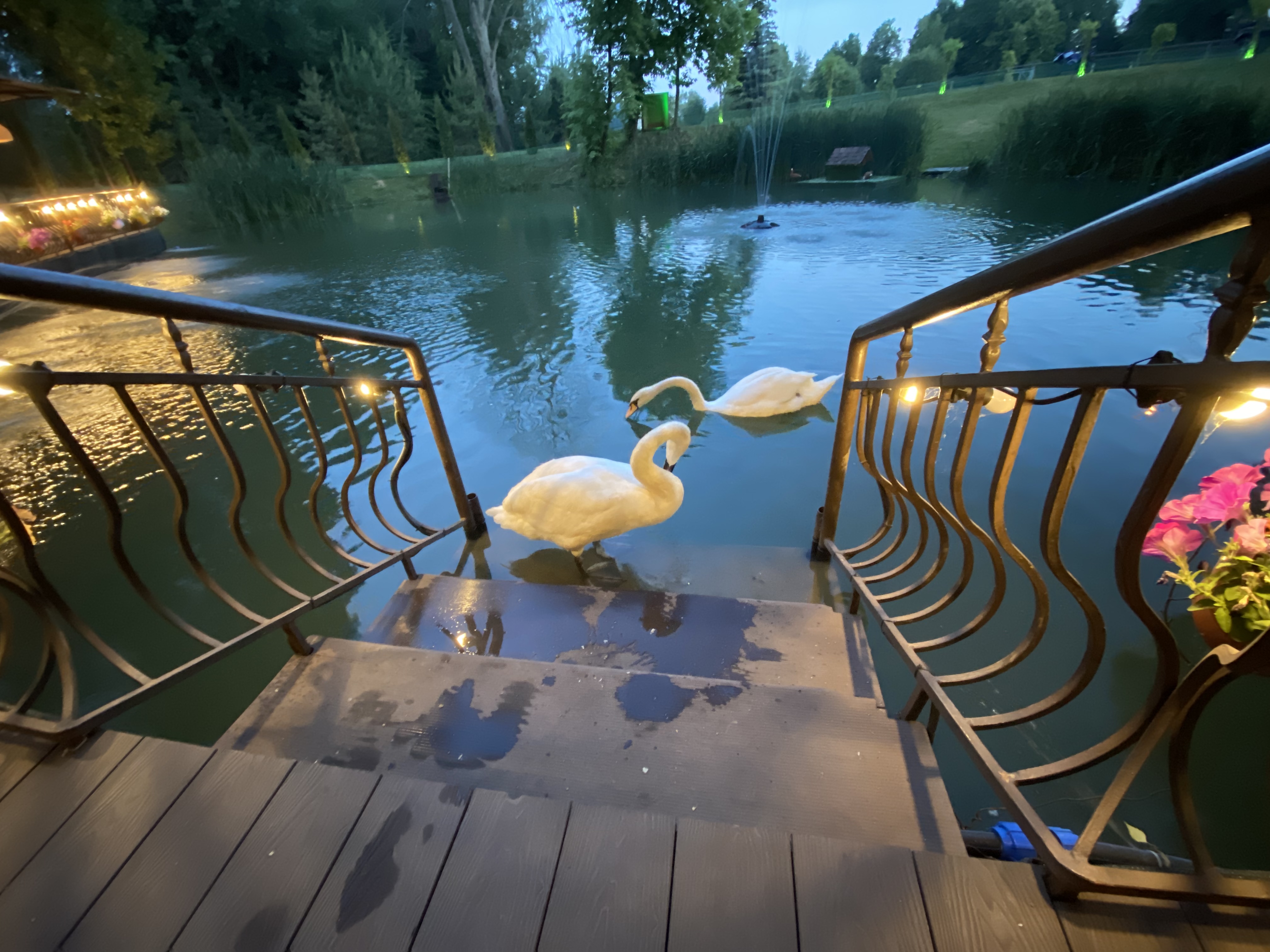 Фото Green Club Family