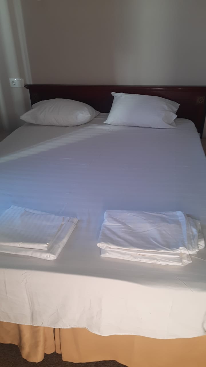 Фото Сова в Шереметьево