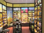 L'occitane EN Provence (United States, Newark, Newark Airport, 1 Terminal C), perfume and cosmetics shop