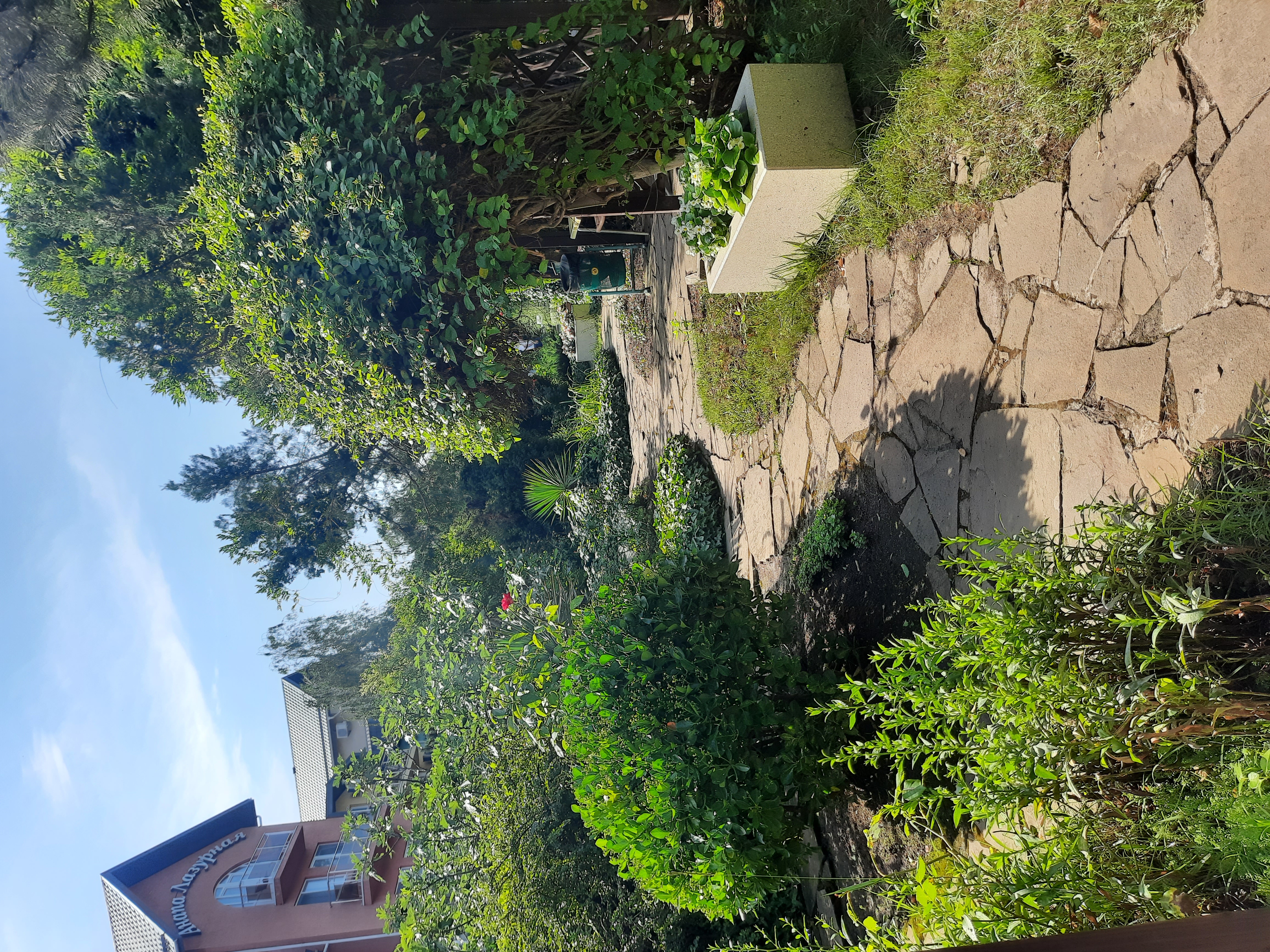 Фото Пансионат Анапа-Лазурная