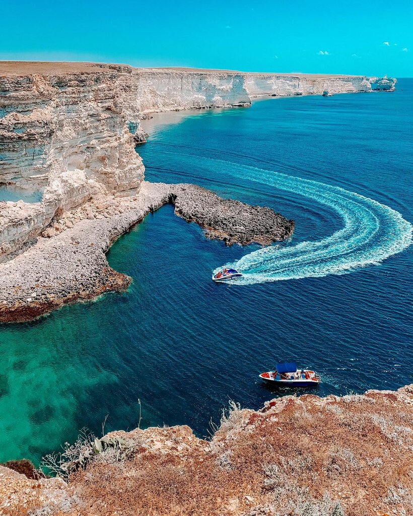 Фото Клевер