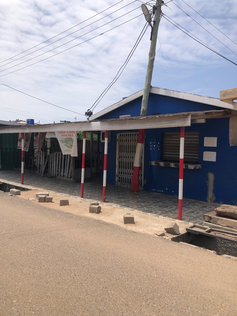 Fish and seafood Fresh Tilapia, Earth, photo