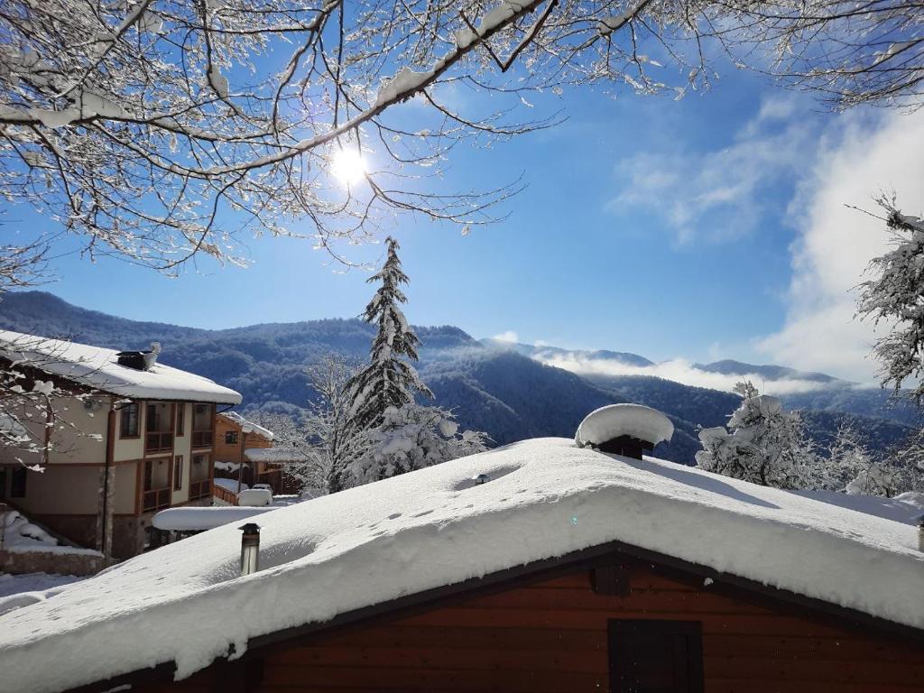 Фото Добрый Дом