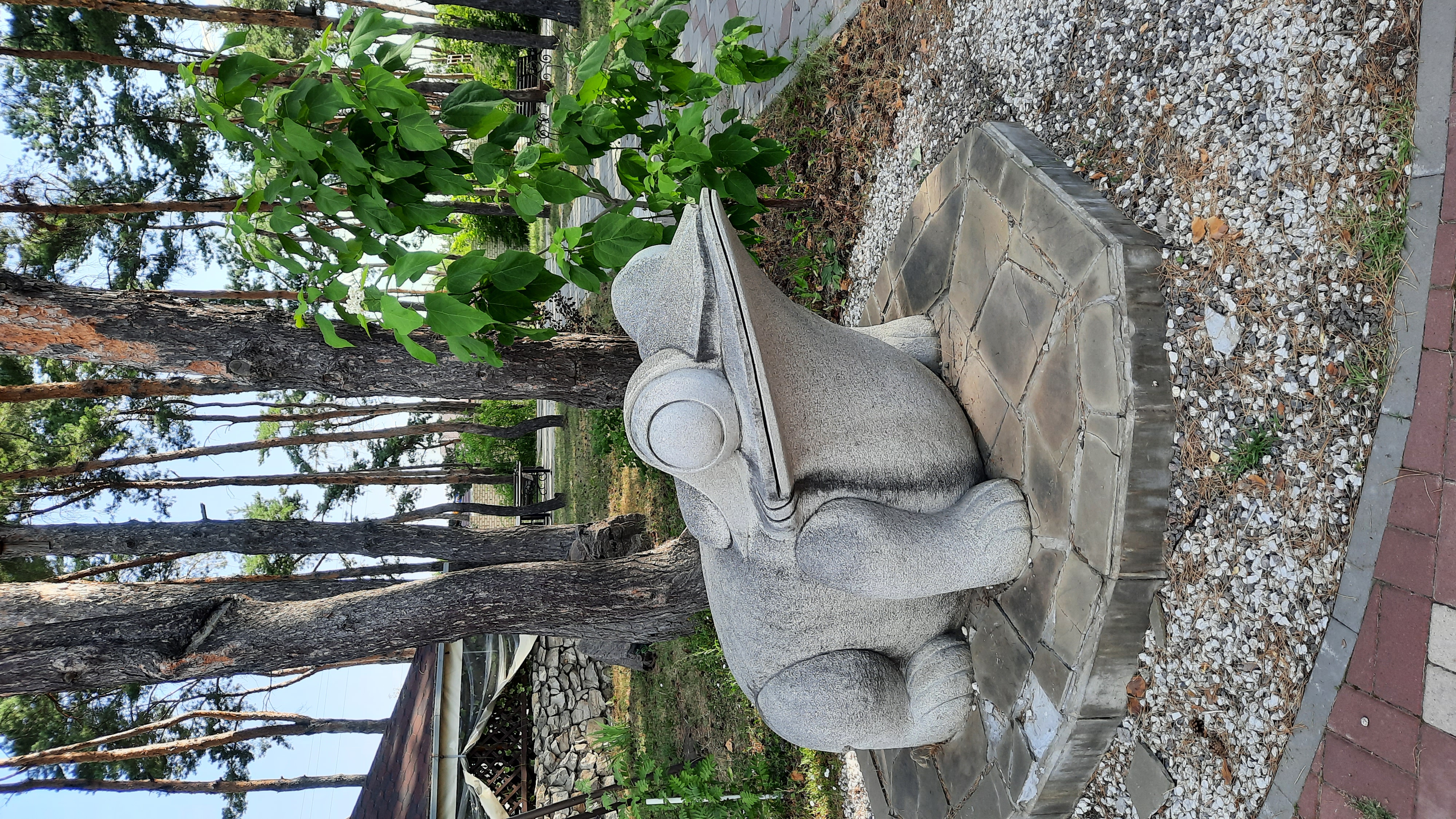 Фото Санлайт