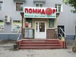 Pomidor (mikrorayon Gorodok Neftyanikov, prospekt Kultury, 1/1), grocery