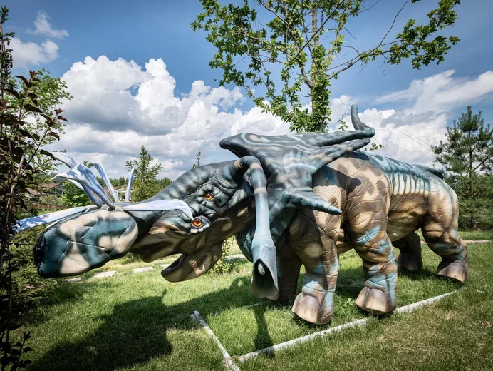 Фото Эко-отель Руза Фэмили парк