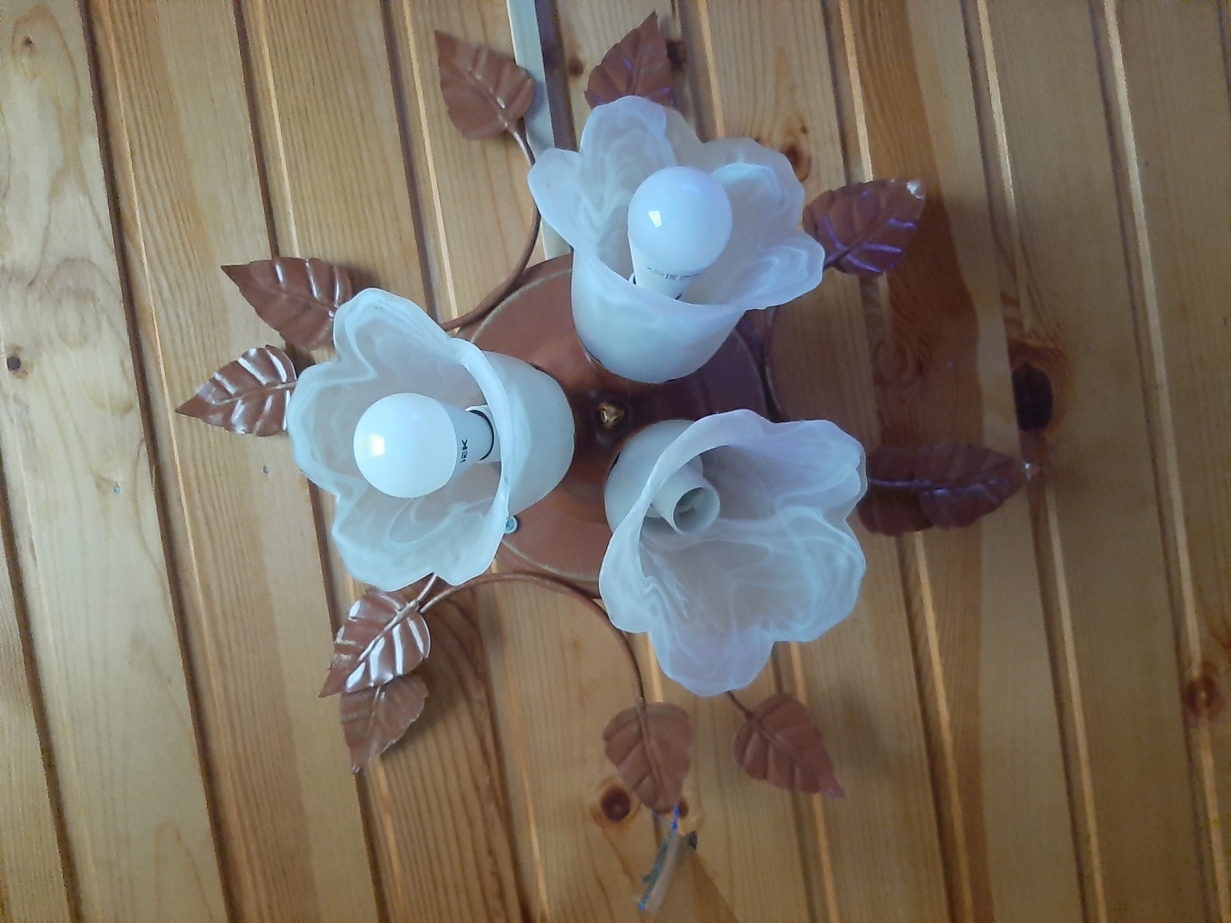 Фото Киркоров Сити