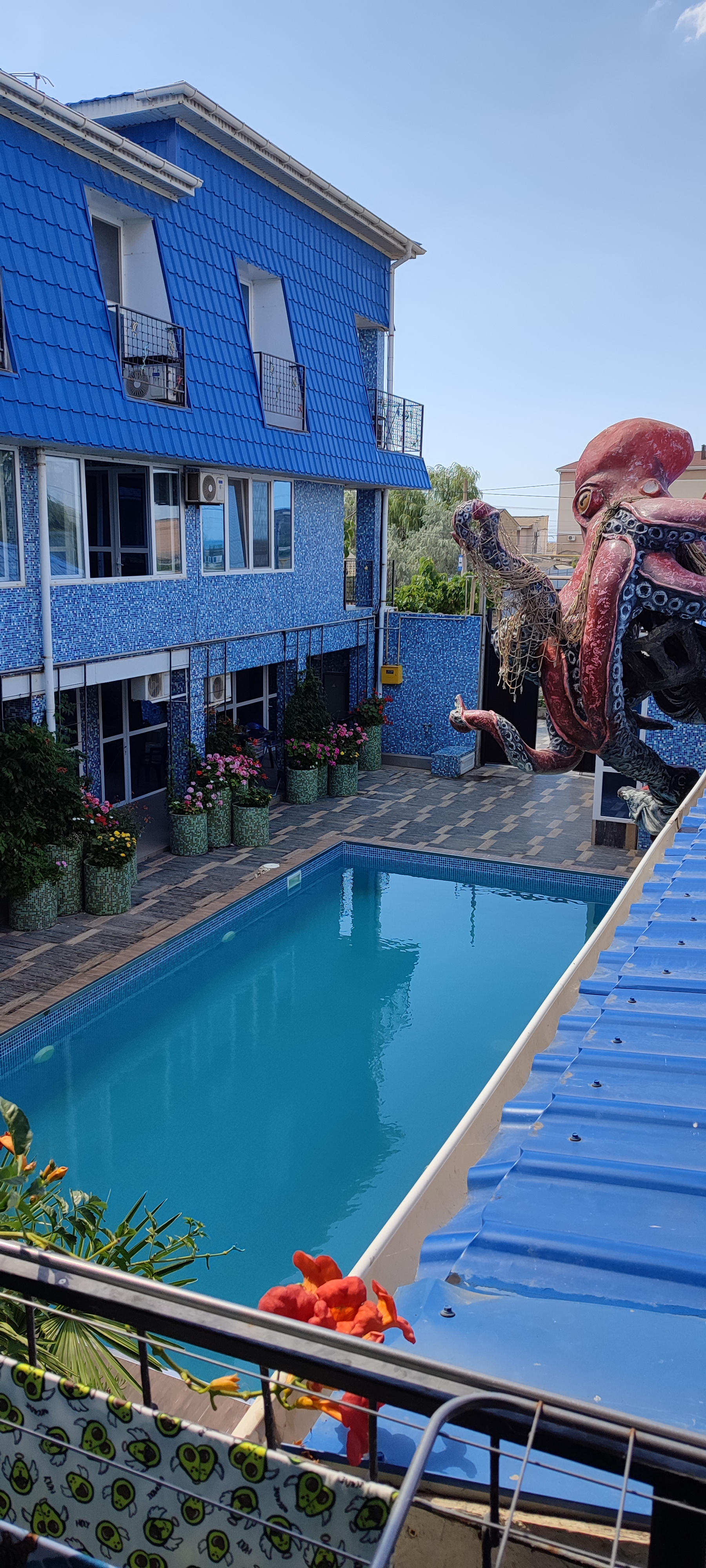 Фото Золотая рыбка