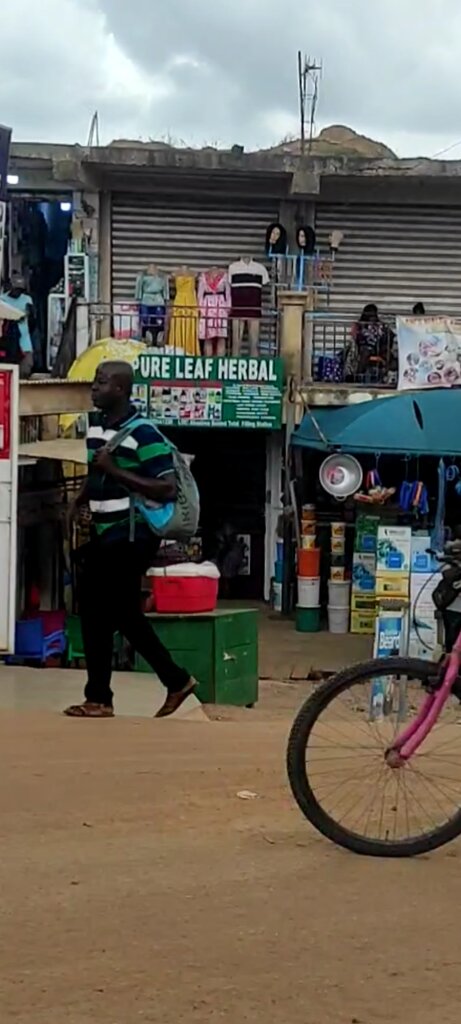 Alternative medicine Pure Leaf Herbal, Earth, photo