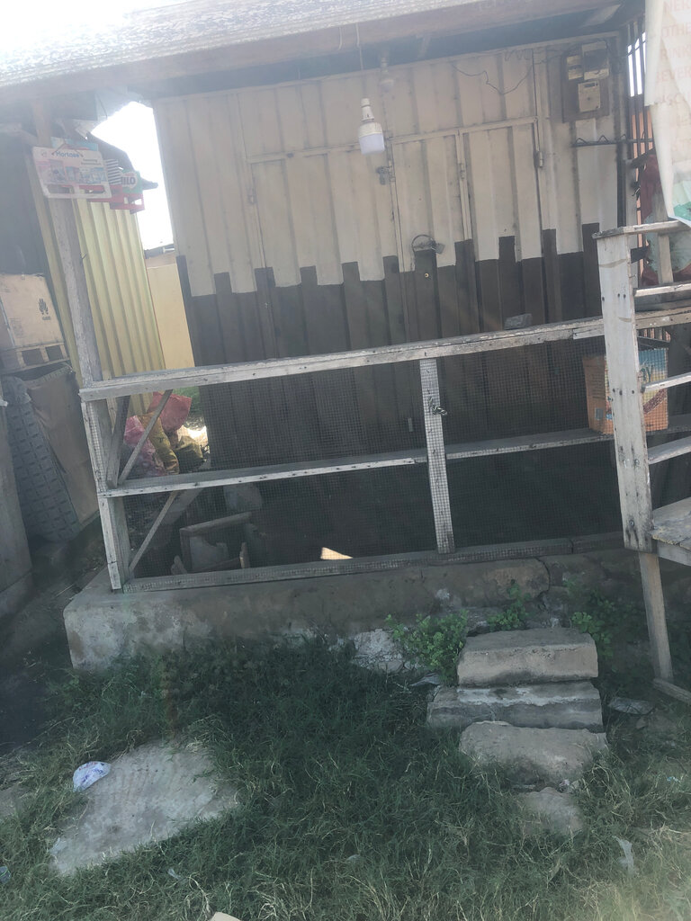 Cake orders Aku, Earth, photo