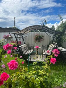 Дом в аренду Алина в Калининграде