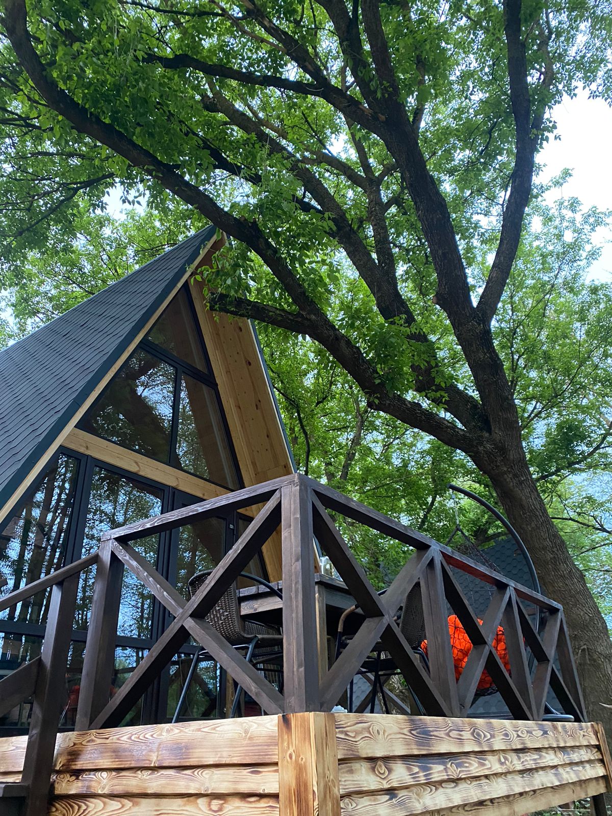 Фото Богатый лес