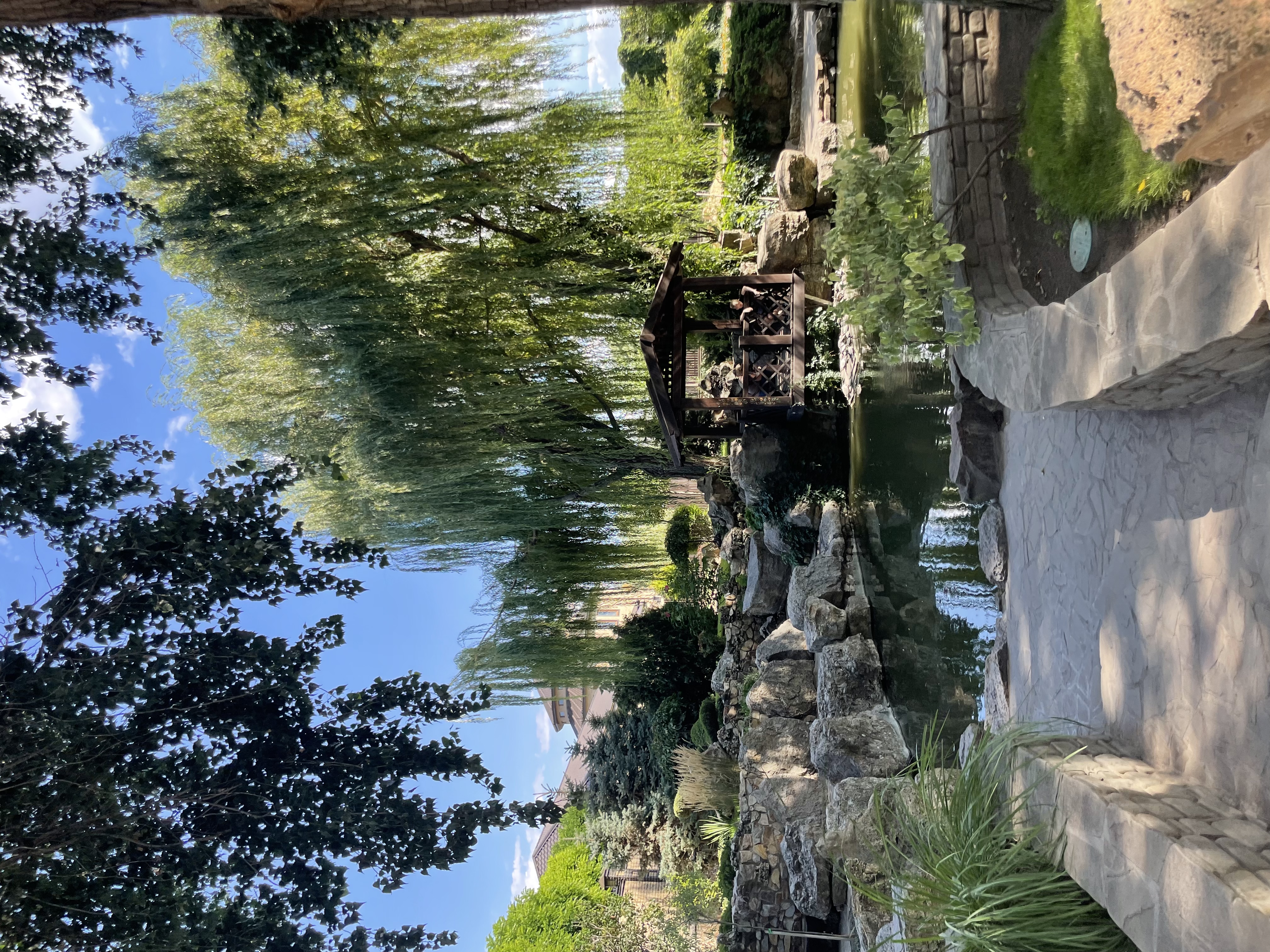 Фото Бумеранг