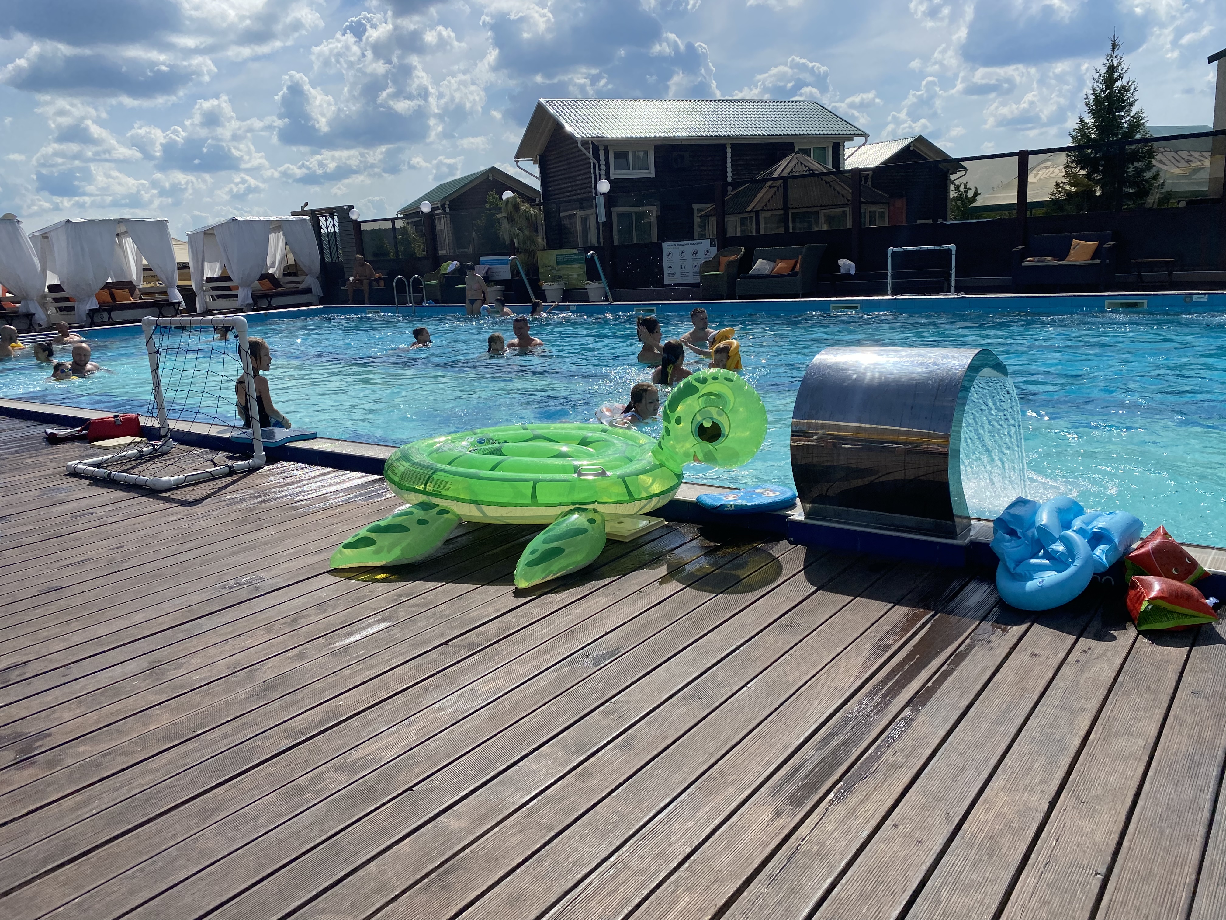 Фото Белая лошадь