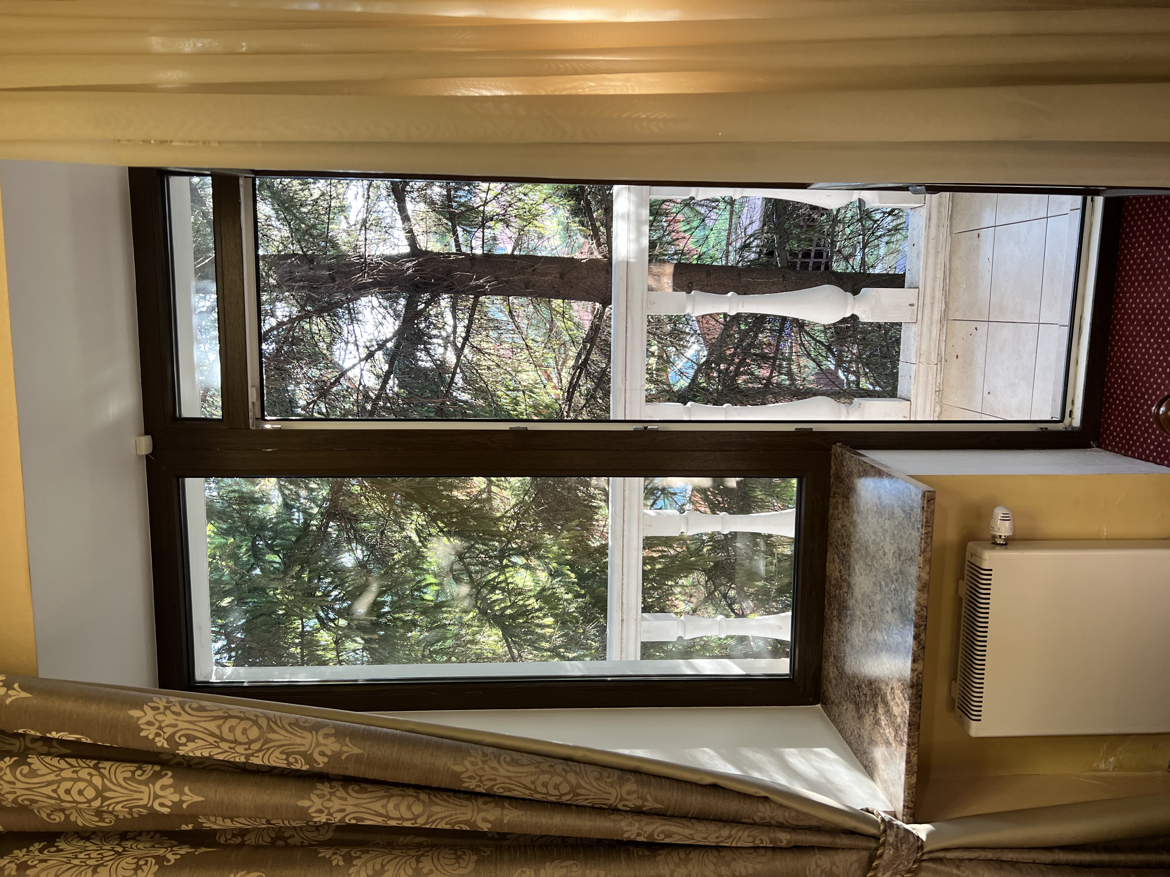 Фото Ваш Симбирск