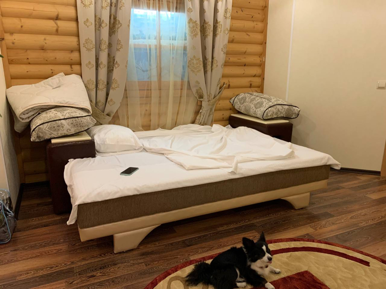 Фото Спарта