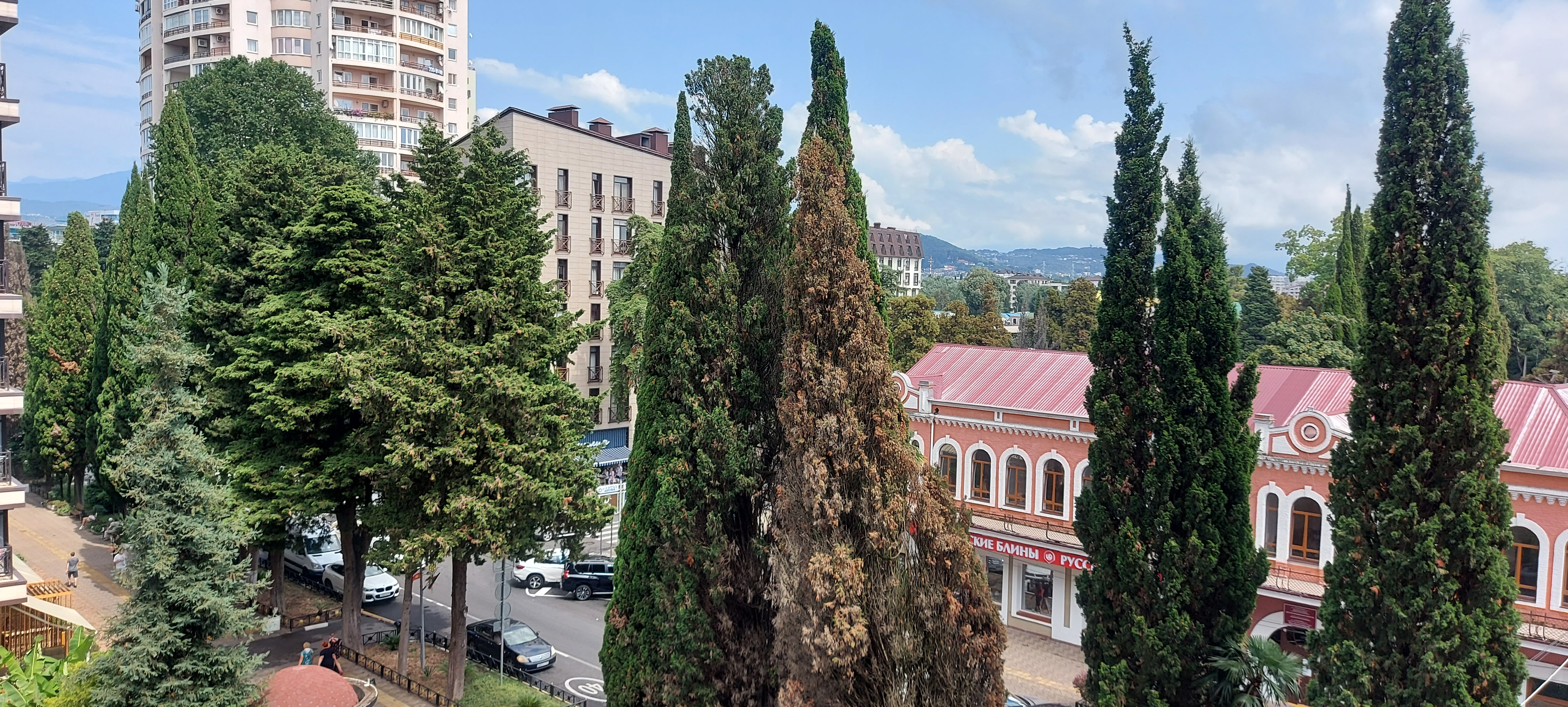 Фото Морская звезда