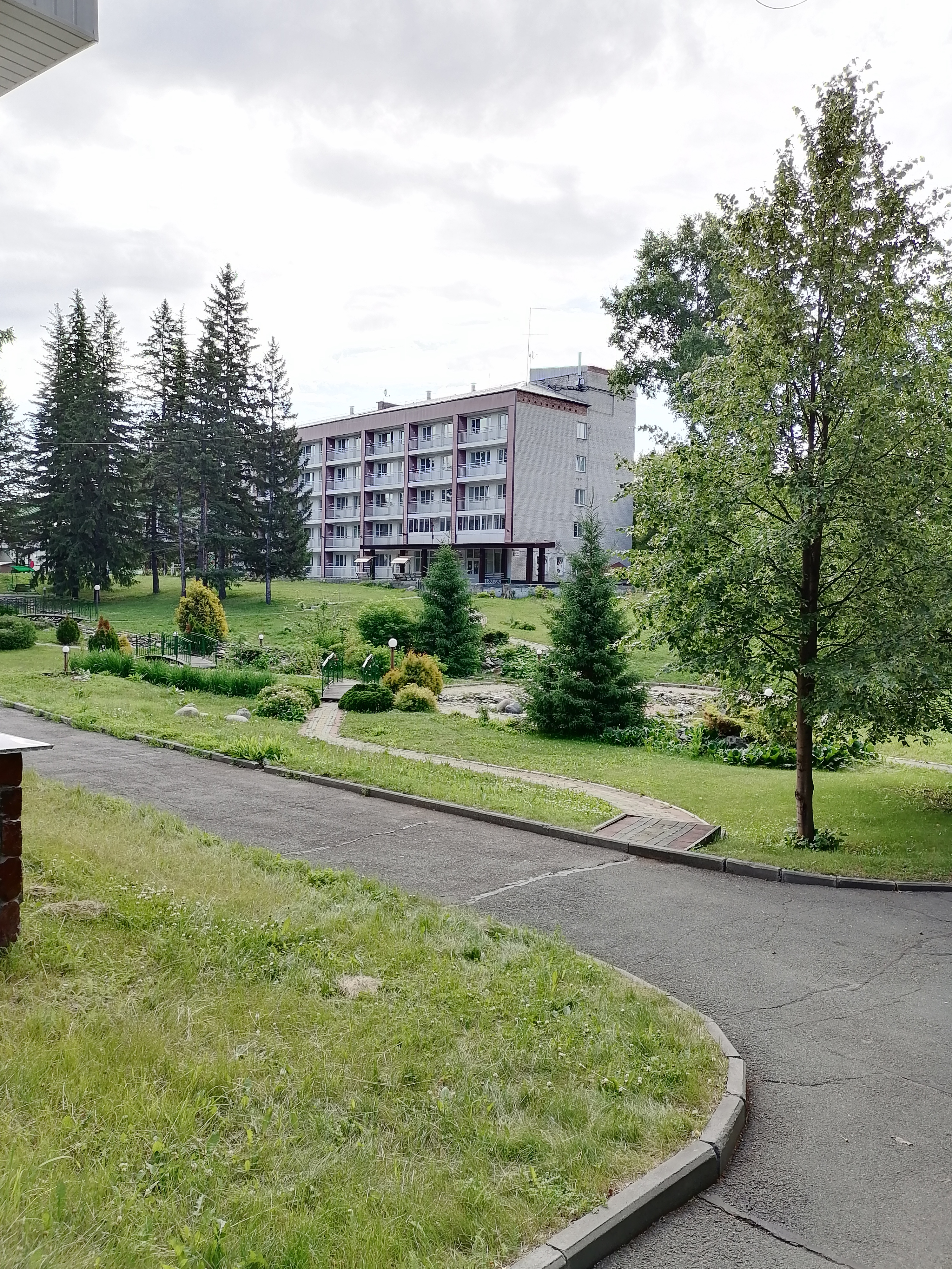 Фото Сосновый бор