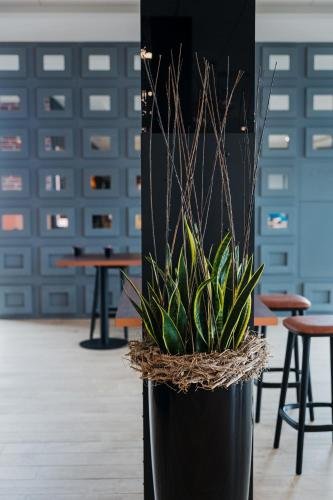 Фото B&b Hotel Zürich East Wallisellen